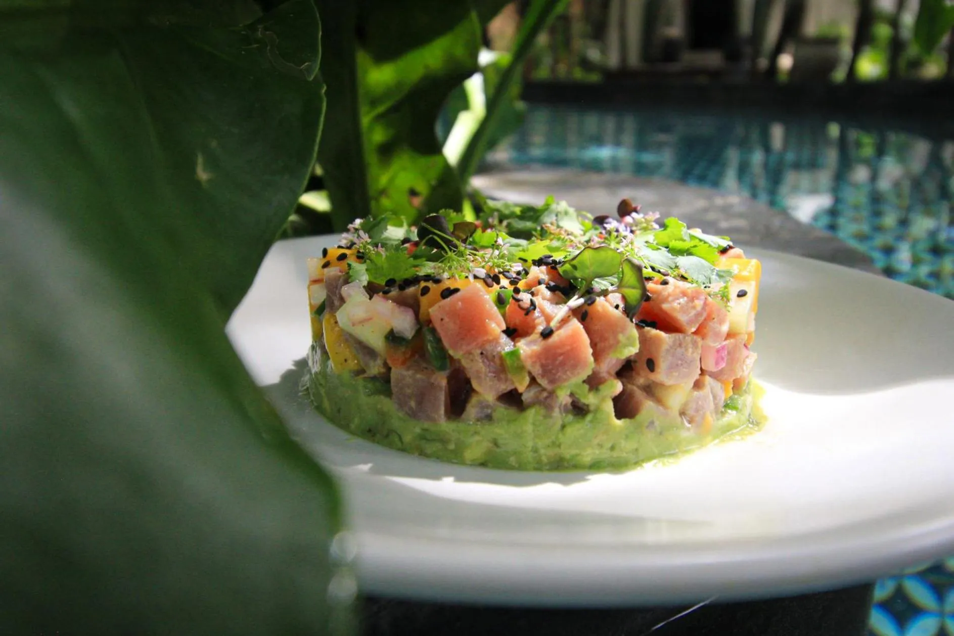 Restaurant/places to eat in The Yellow Nest Tulum