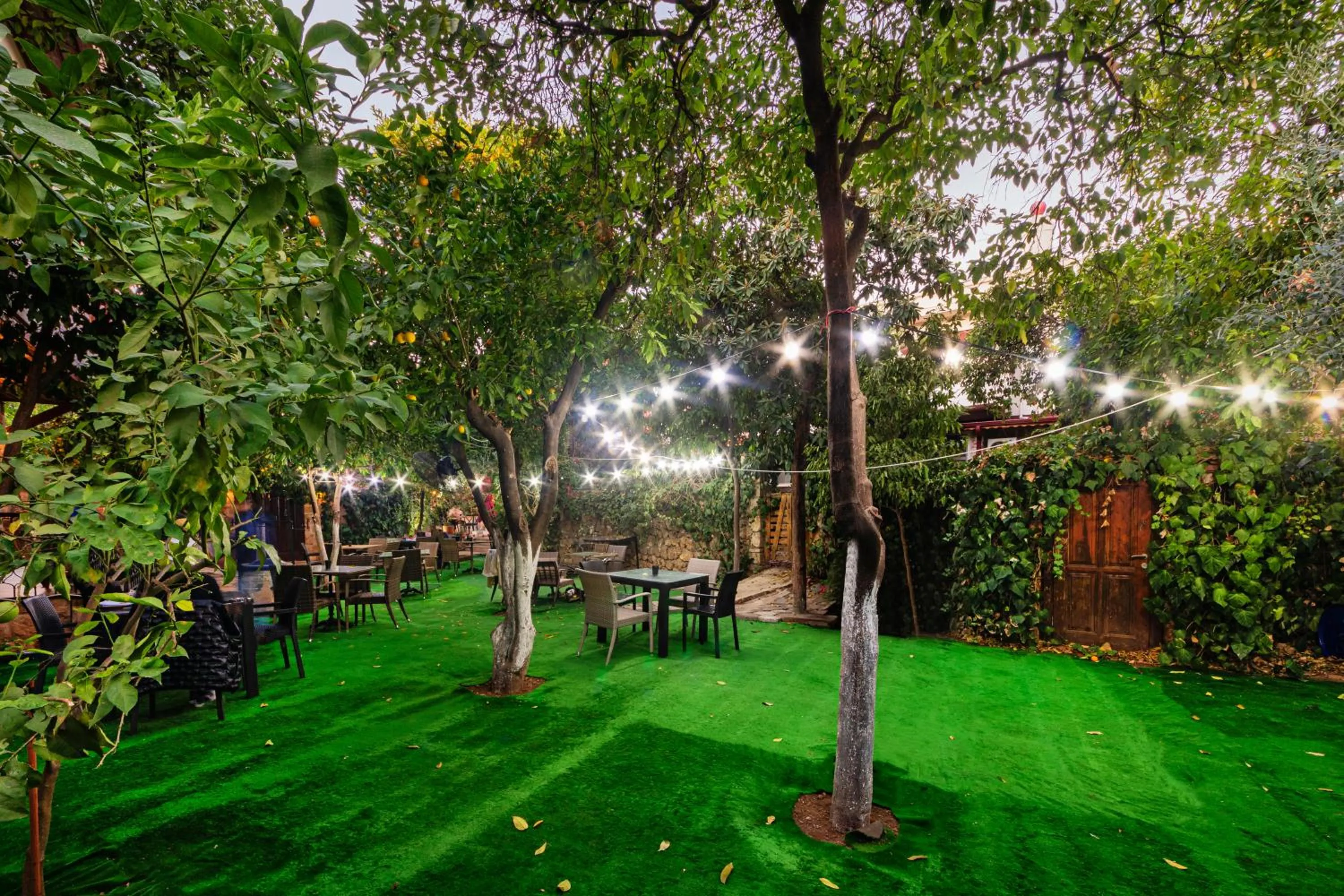 Garden view in Zemira Garden Hotel