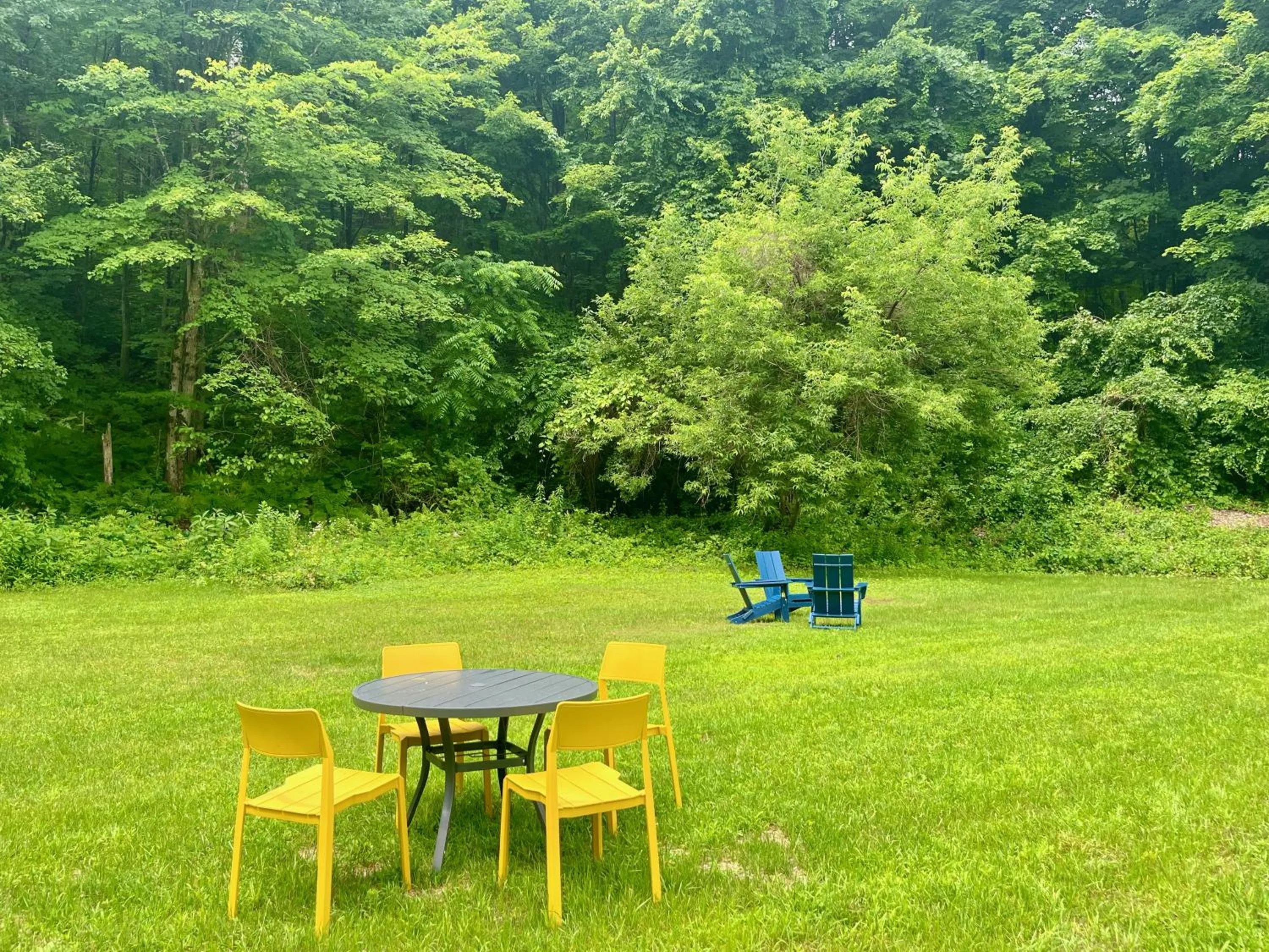 Garden in East Rock Inn