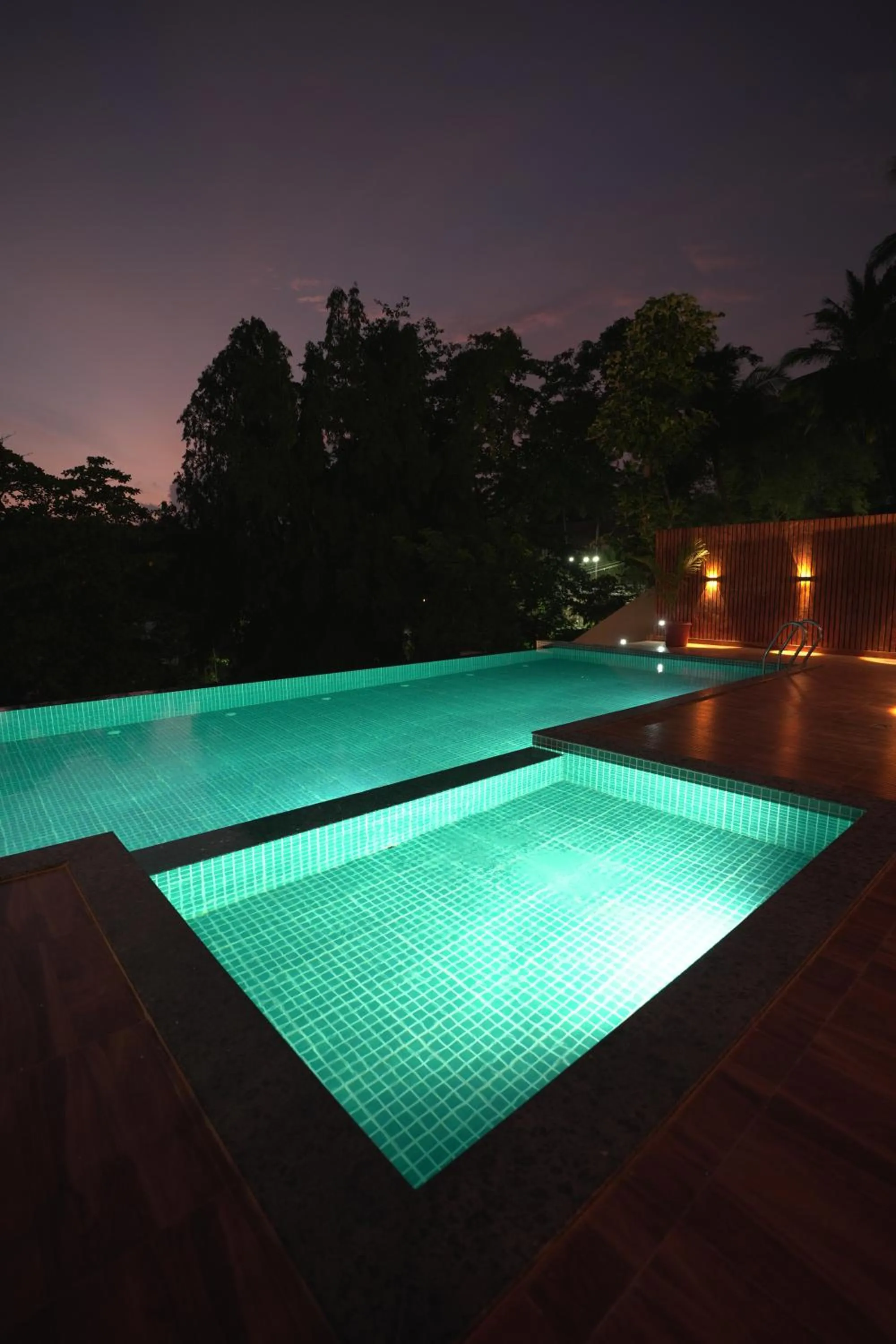Swimming pool in Delano Residency