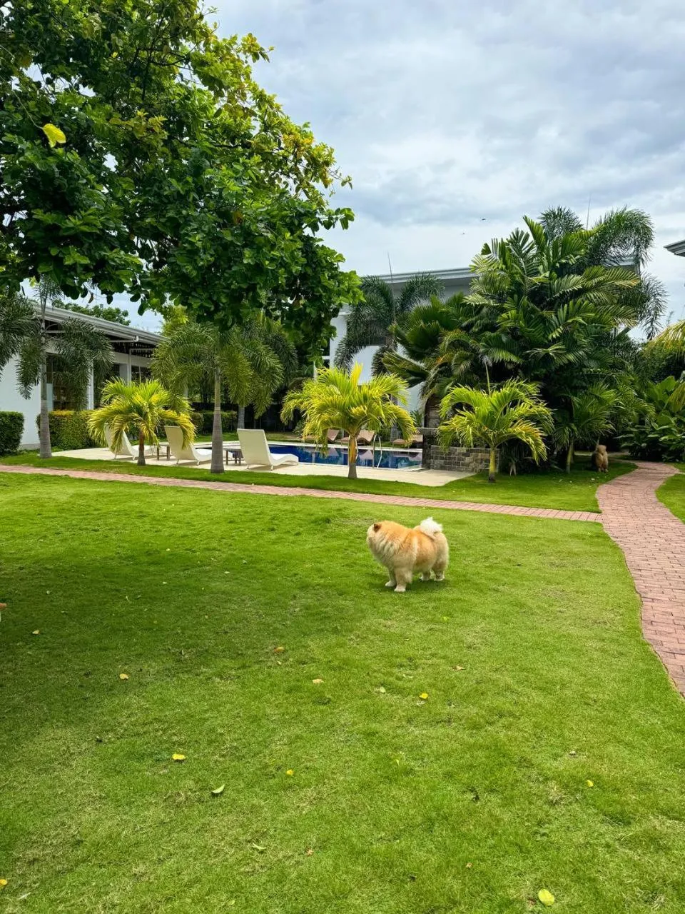 Garden in Red Picnic Hostel Panglao