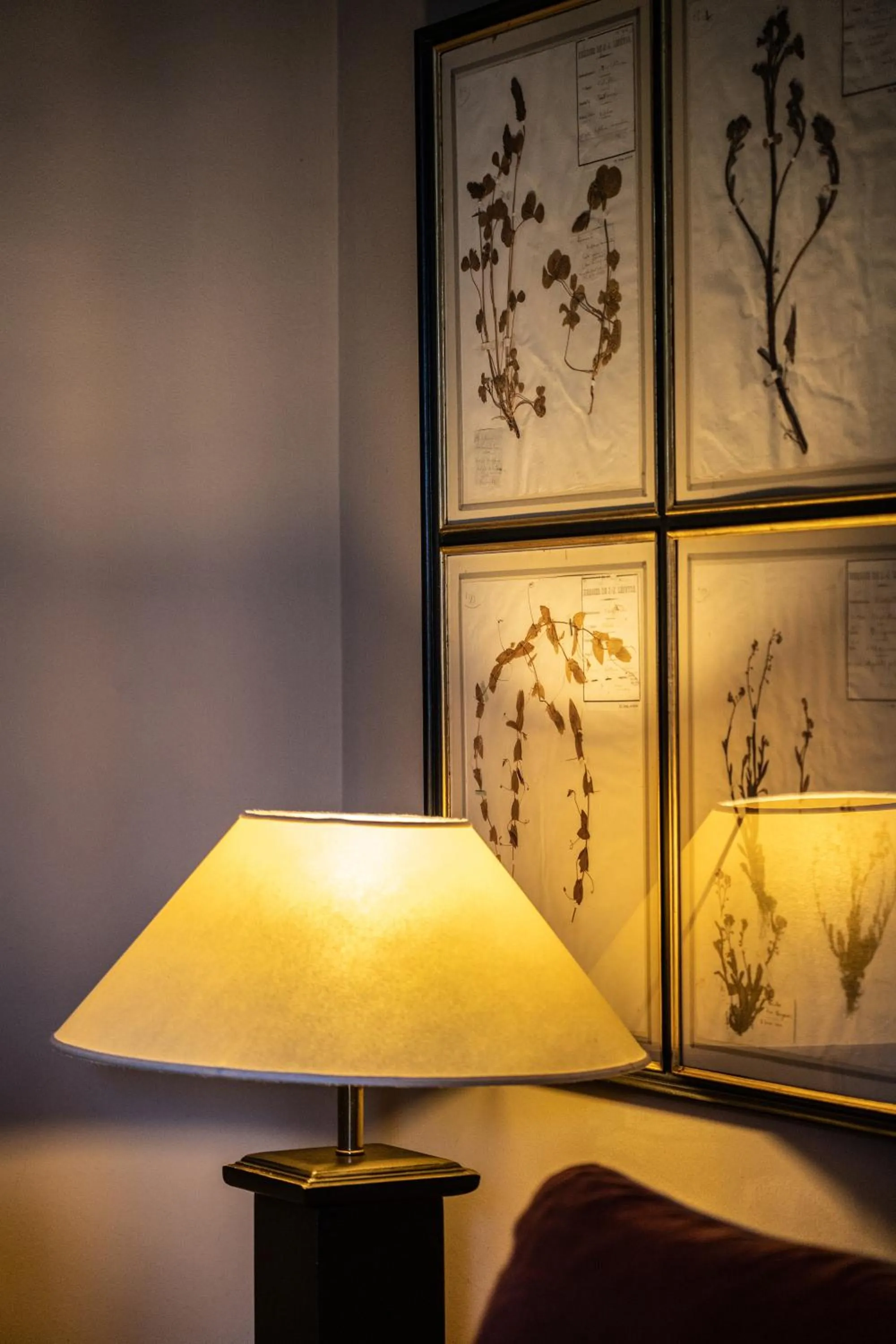 Hotel Villa Carlotta