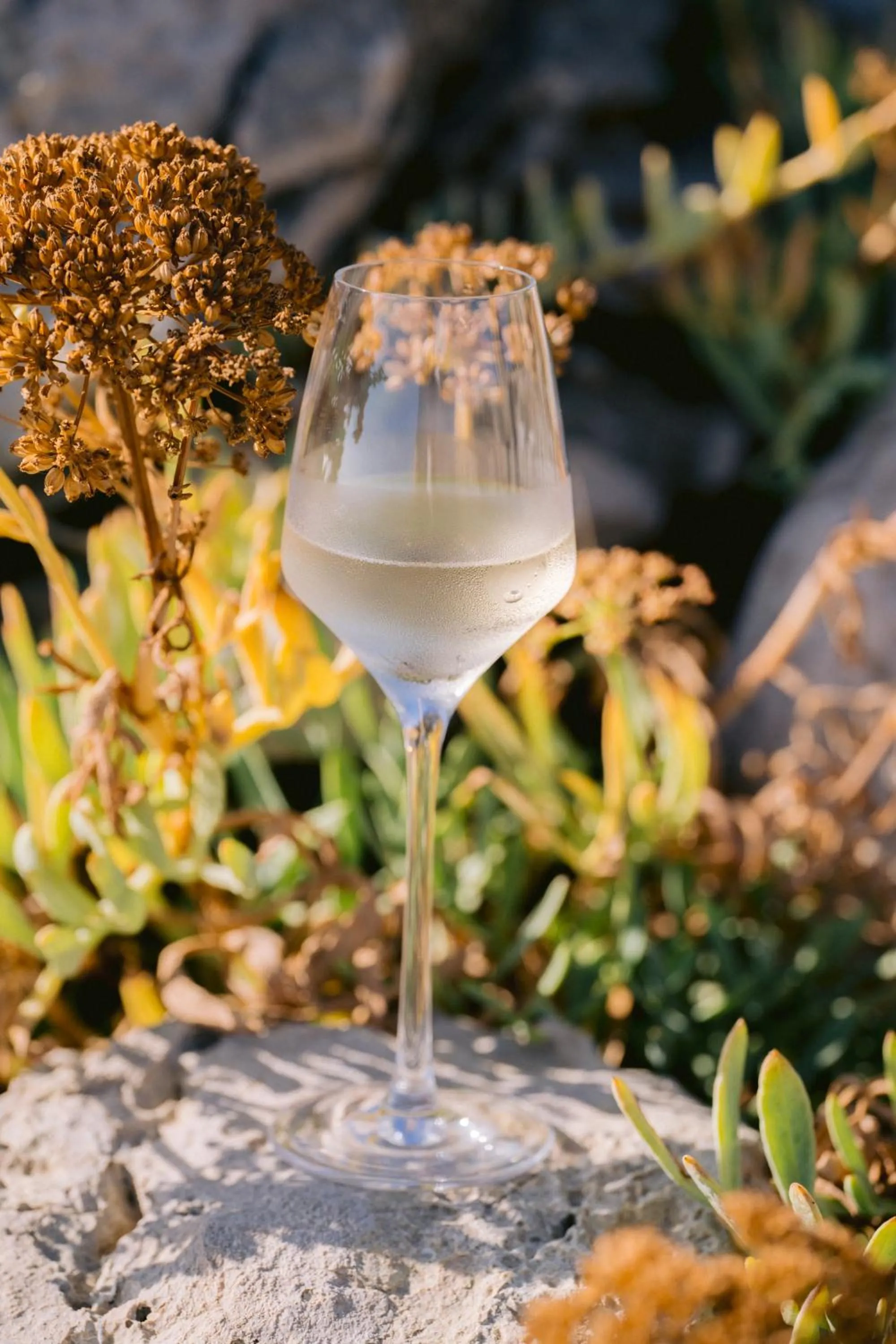 Food and drinks in Hiddenbay Teos Hotel