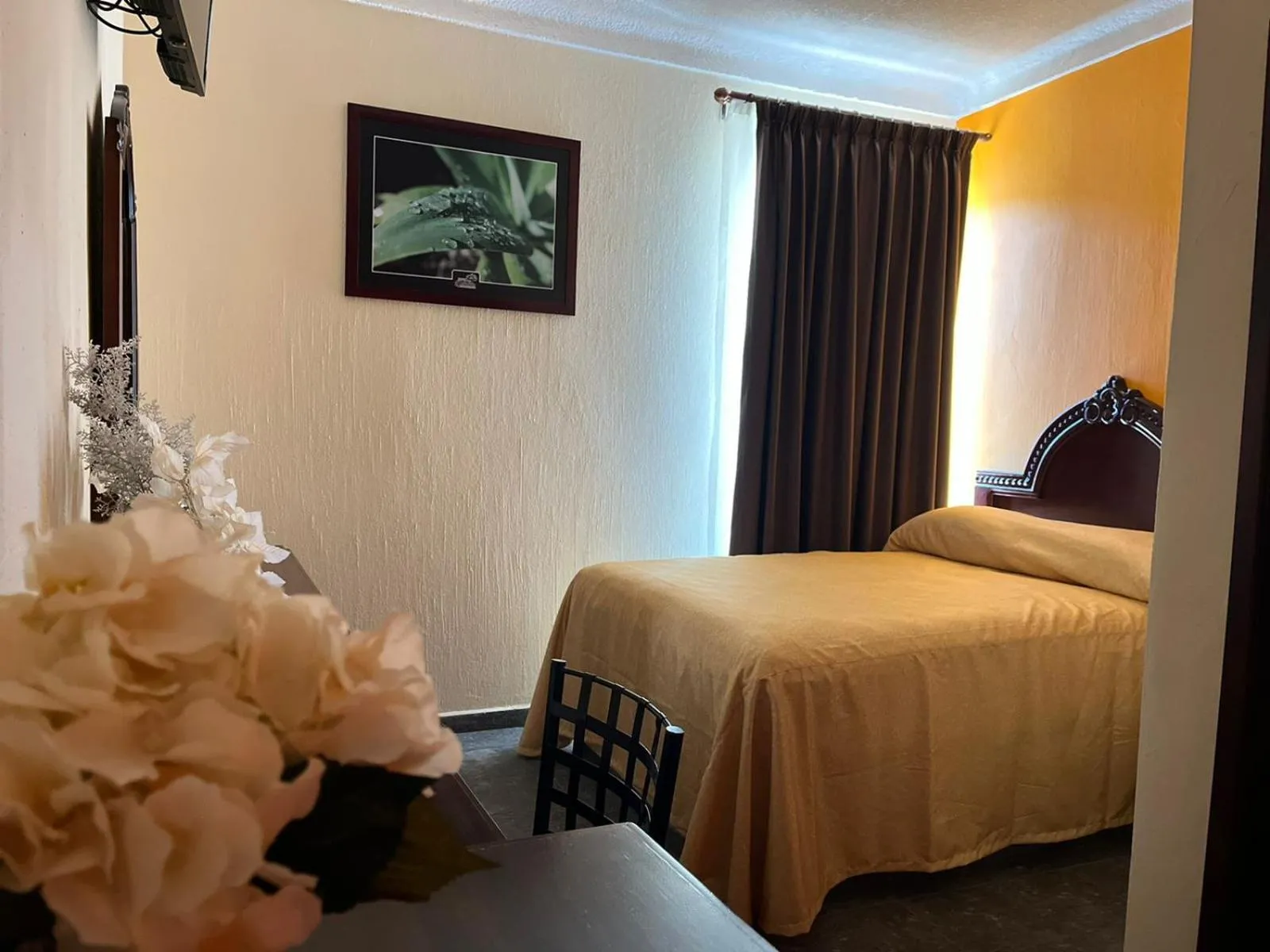 Double Room in Hotel Delicias Tequila