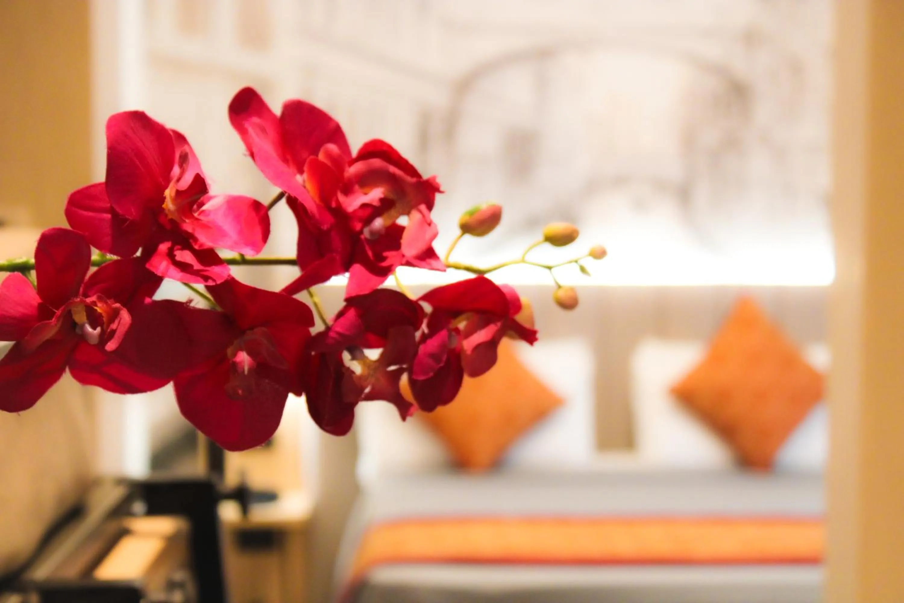 Photo of the whole room, Bed in Hotel al Graspo de Ua