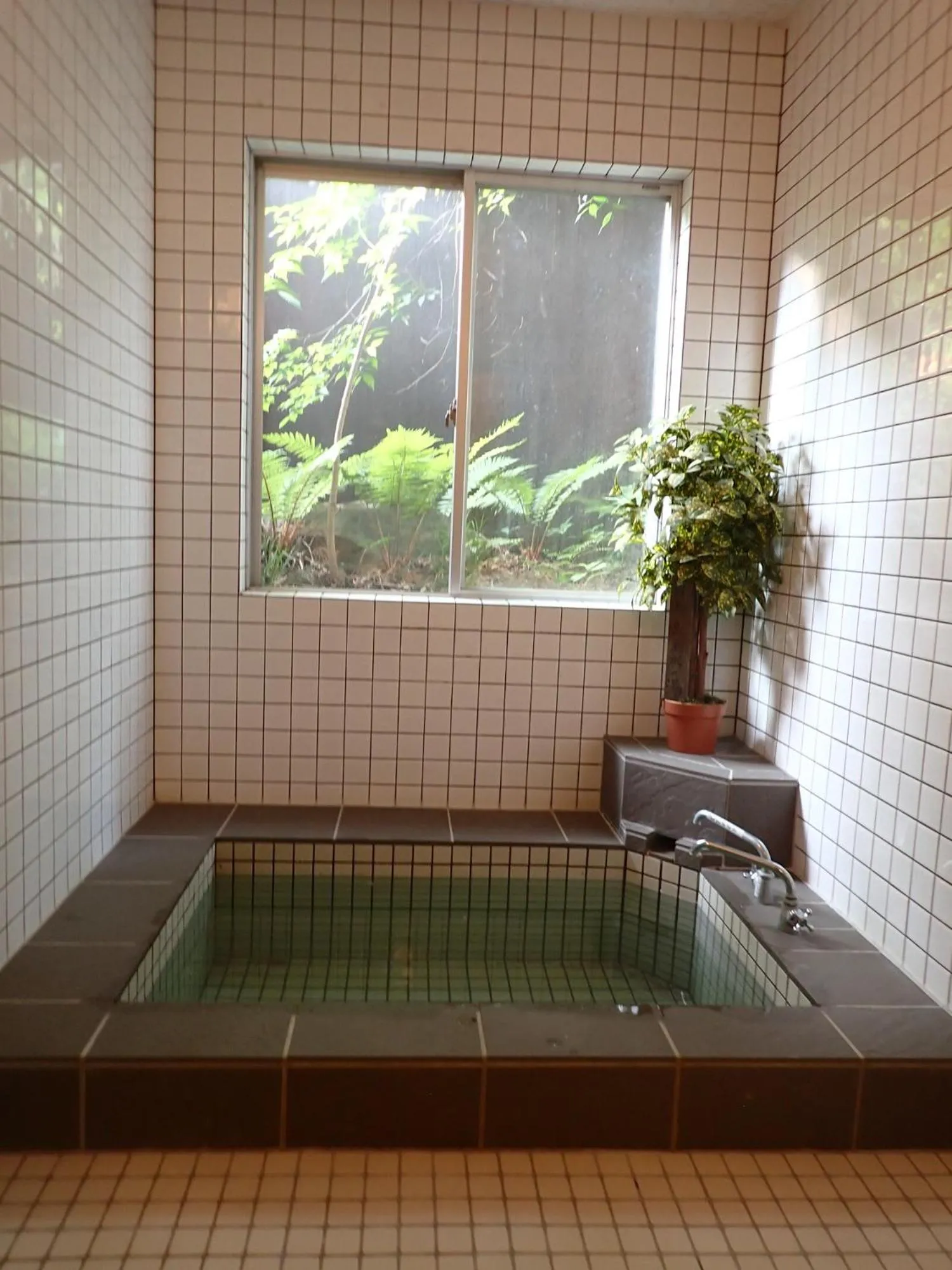 Hot Spring Bath in Pension Belnina