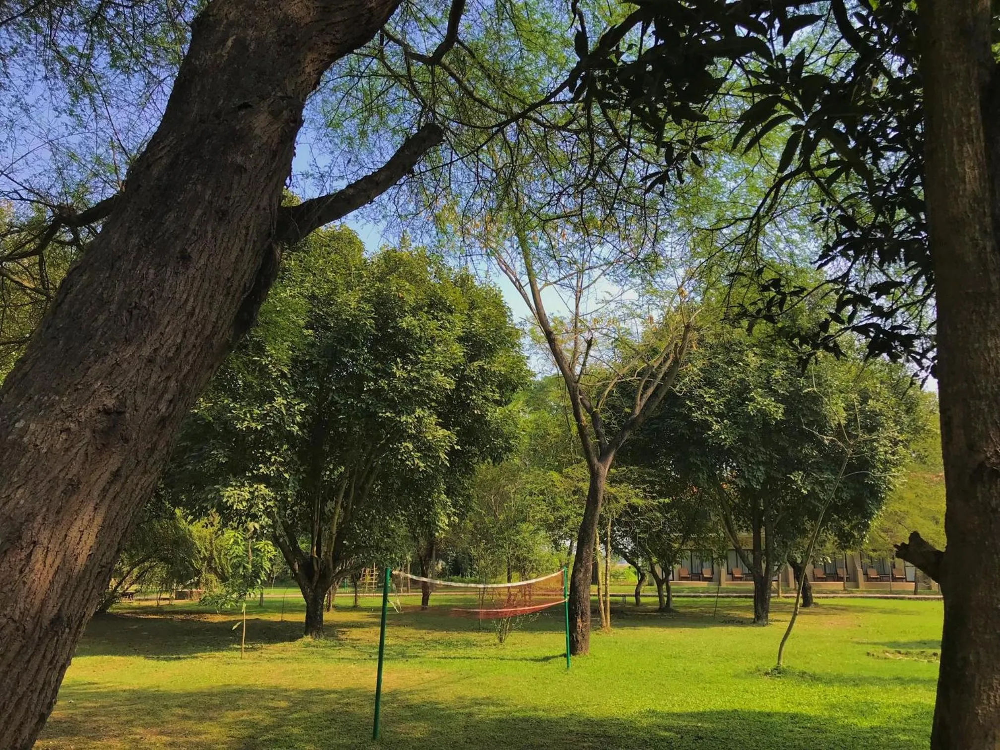 Natural landscape in Lumbini Buddha Garden Resort