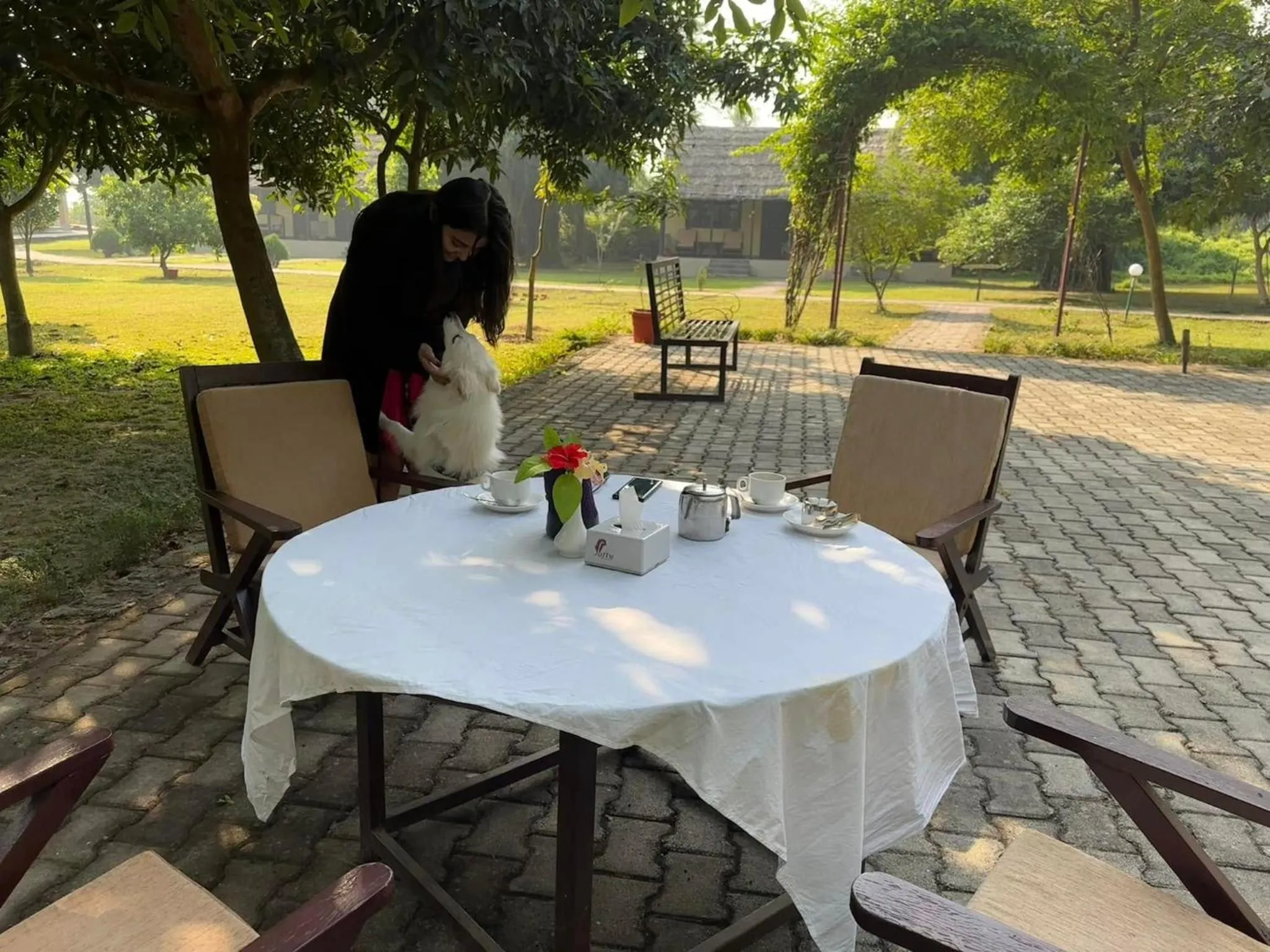 Garden in Lumbini Buddha Garden Resort