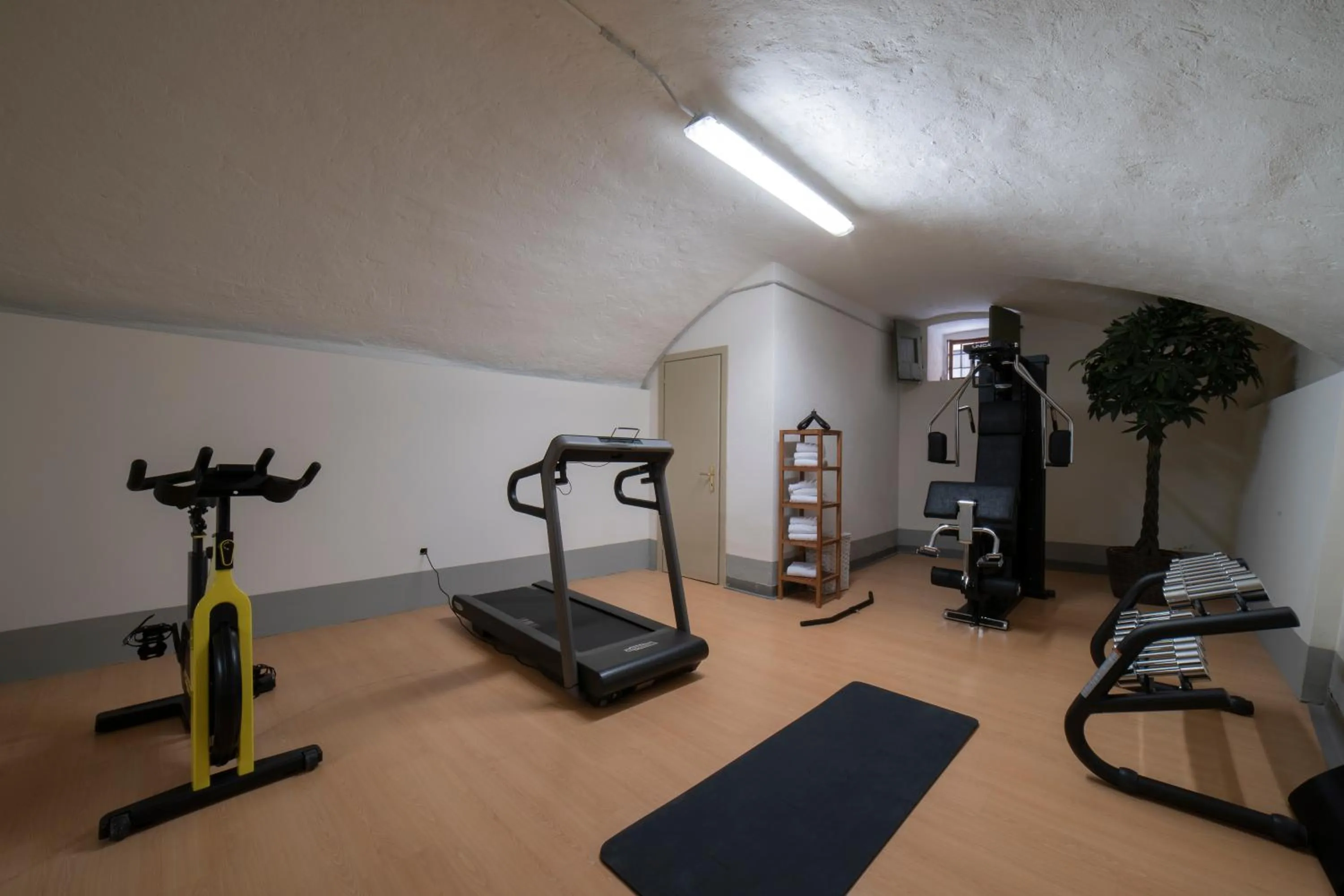 Fitness centre/facilities in Hotel Palazzo San Niccolò & Spa