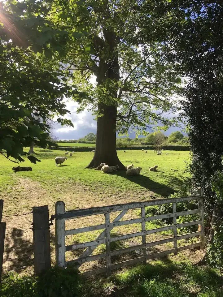 Natural landscape in Garden Studio