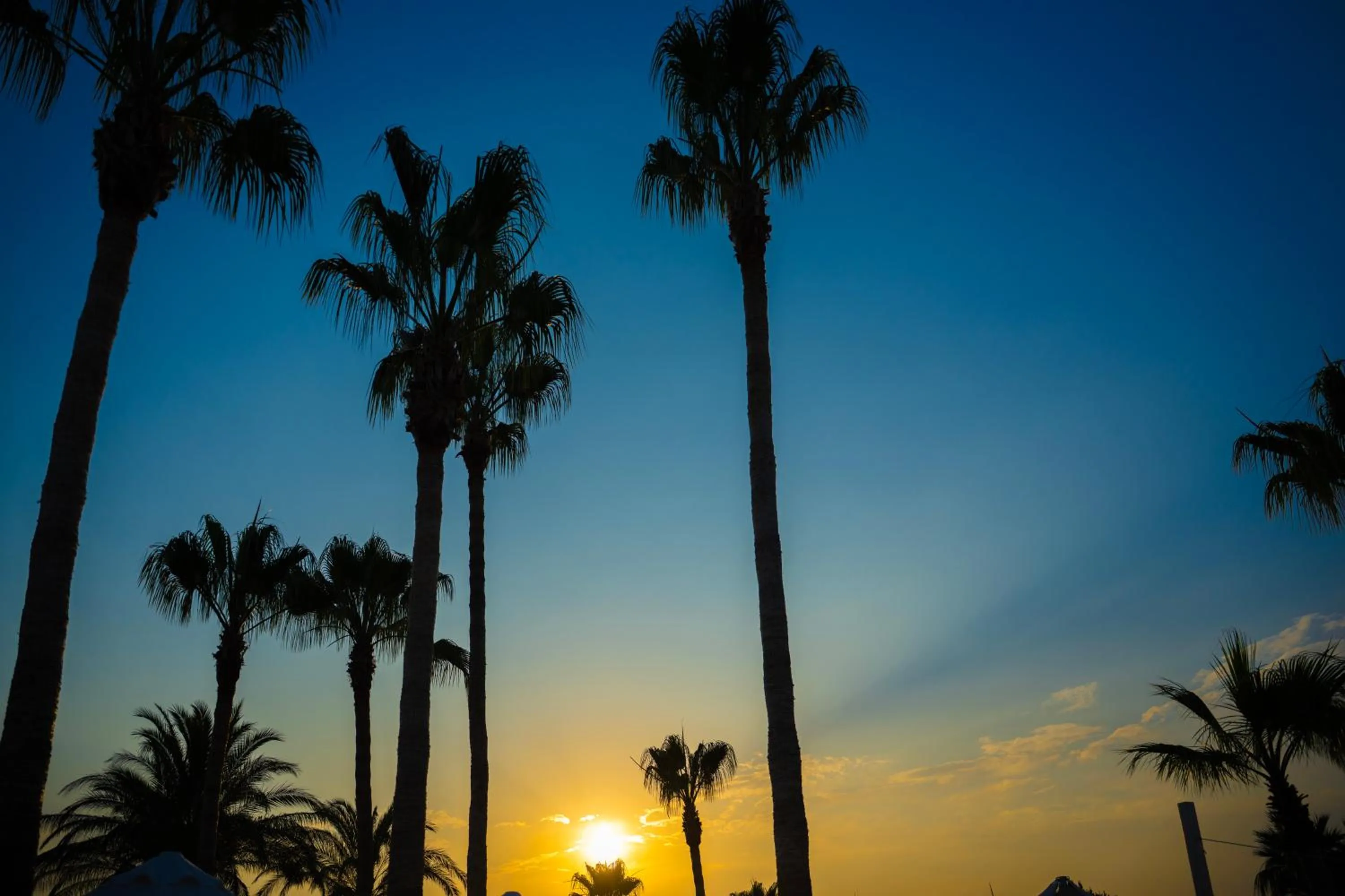 Natural landscape in Oz Hotels Incekum Beach