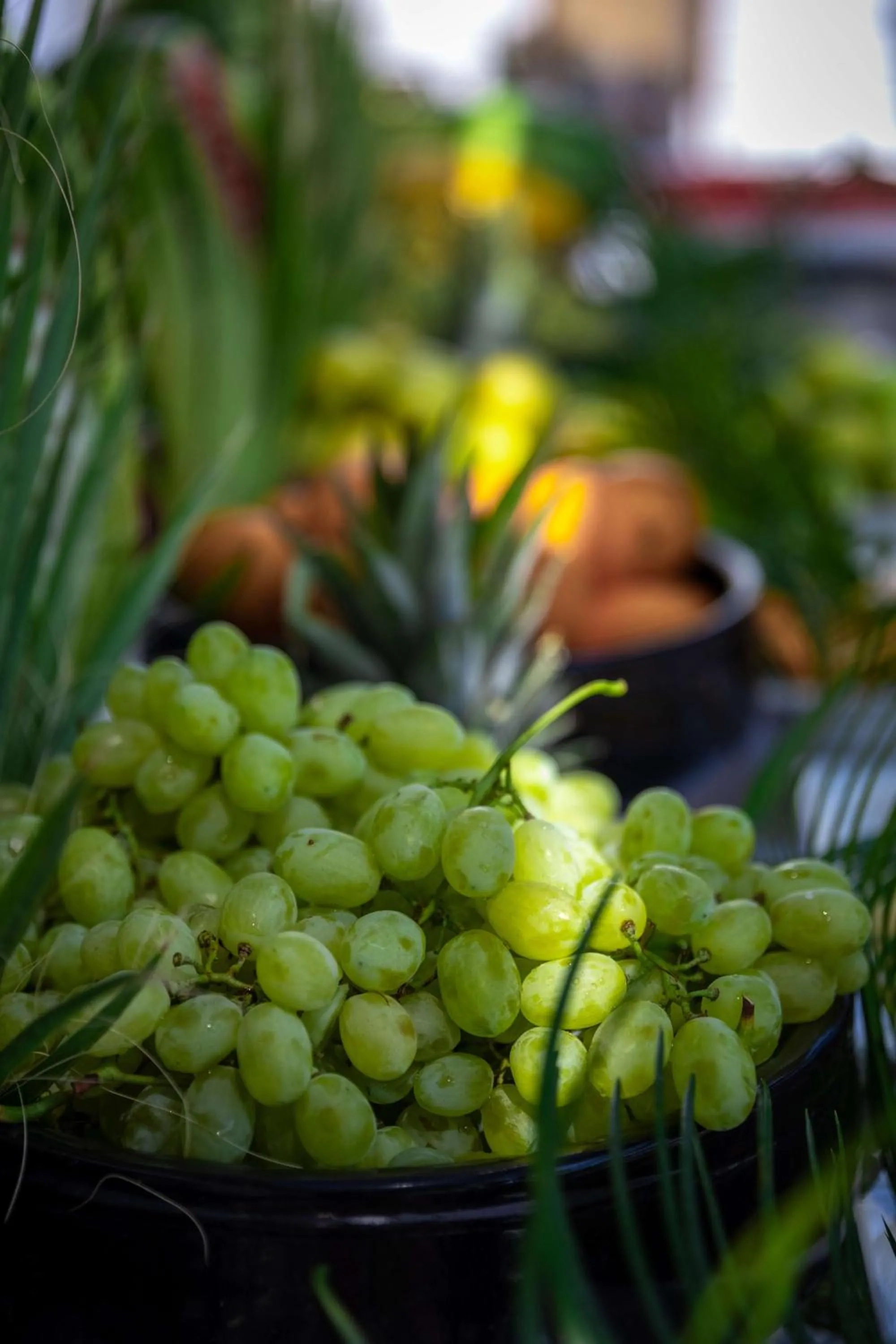 Food and drinks in Oz Hotels Sui