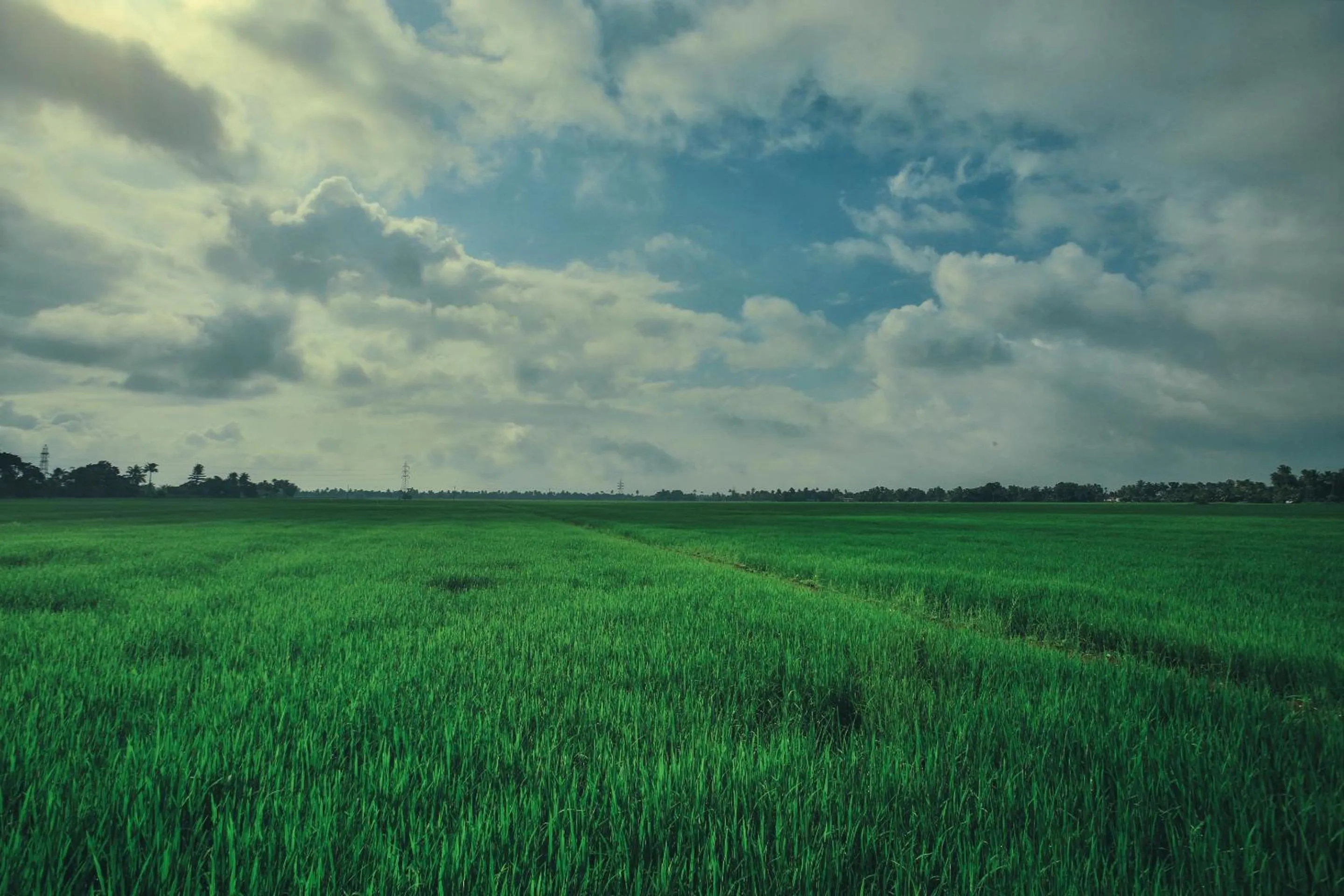Nearby landmark in Palmgrove Lake Resort