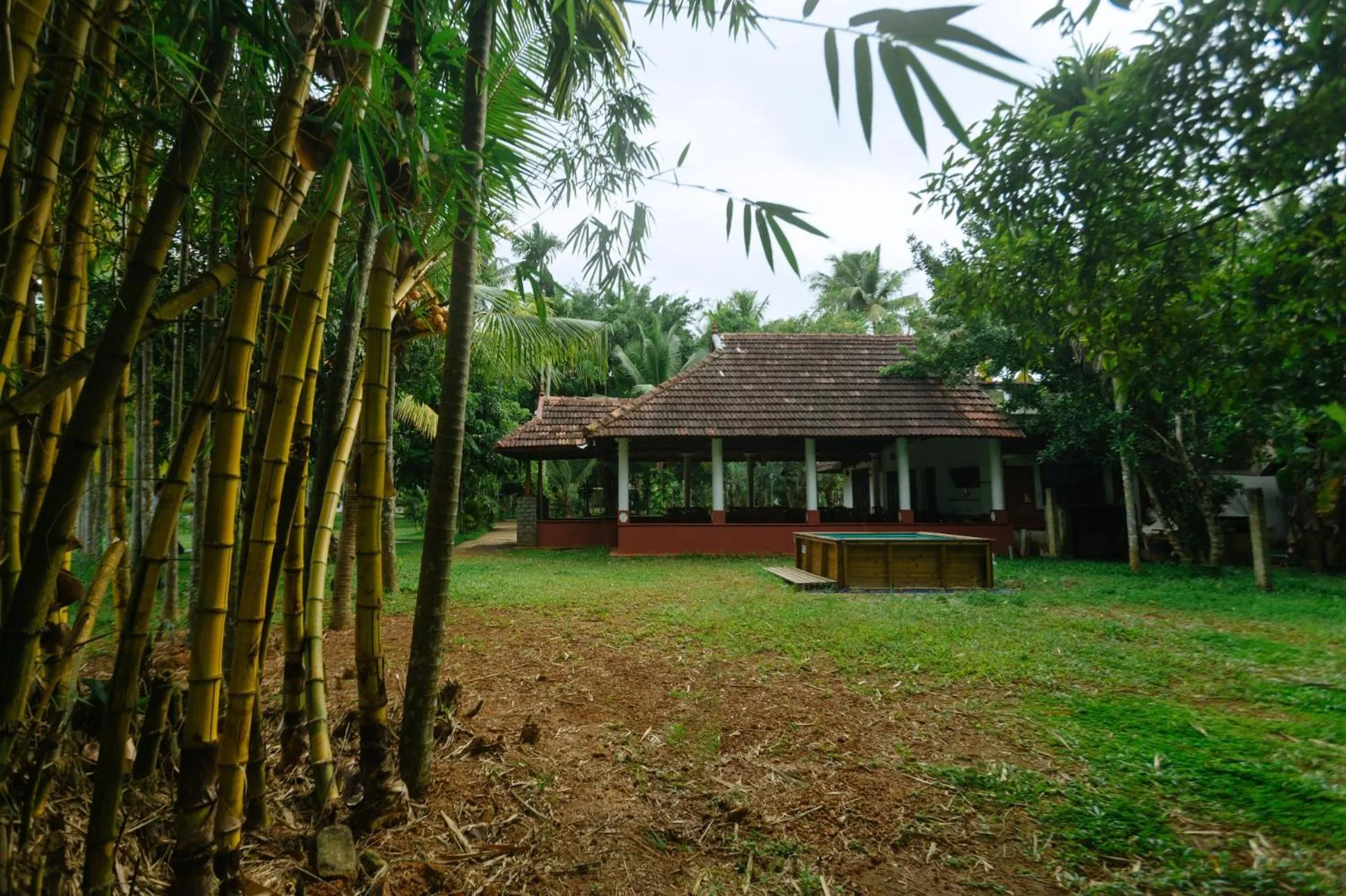 Restaurant/places to eat in Palmgrove Lake Resort