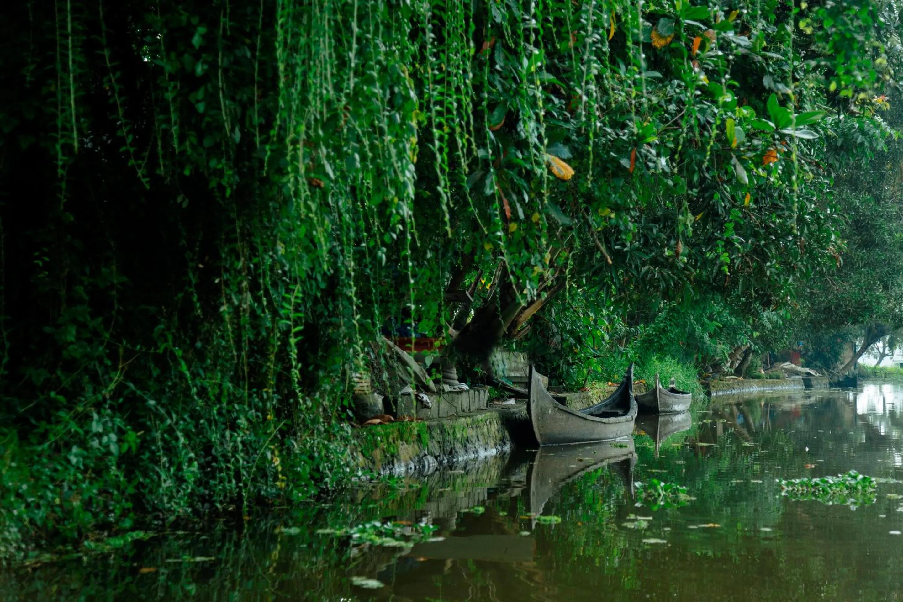 Nearby landmark in Palmgrove Lake Resort