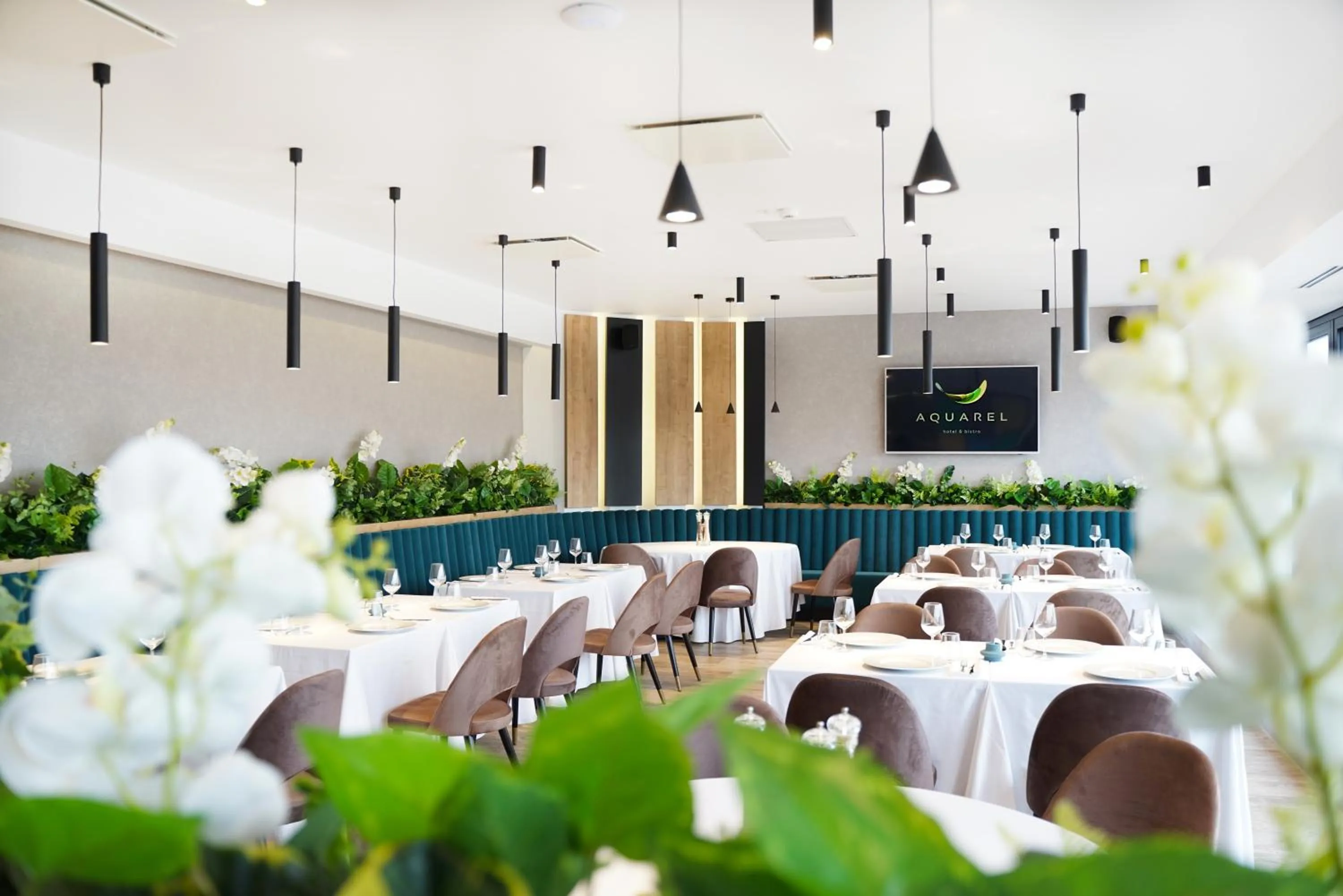 Restaurant/places to eat in Hotel Boutique Aquarel