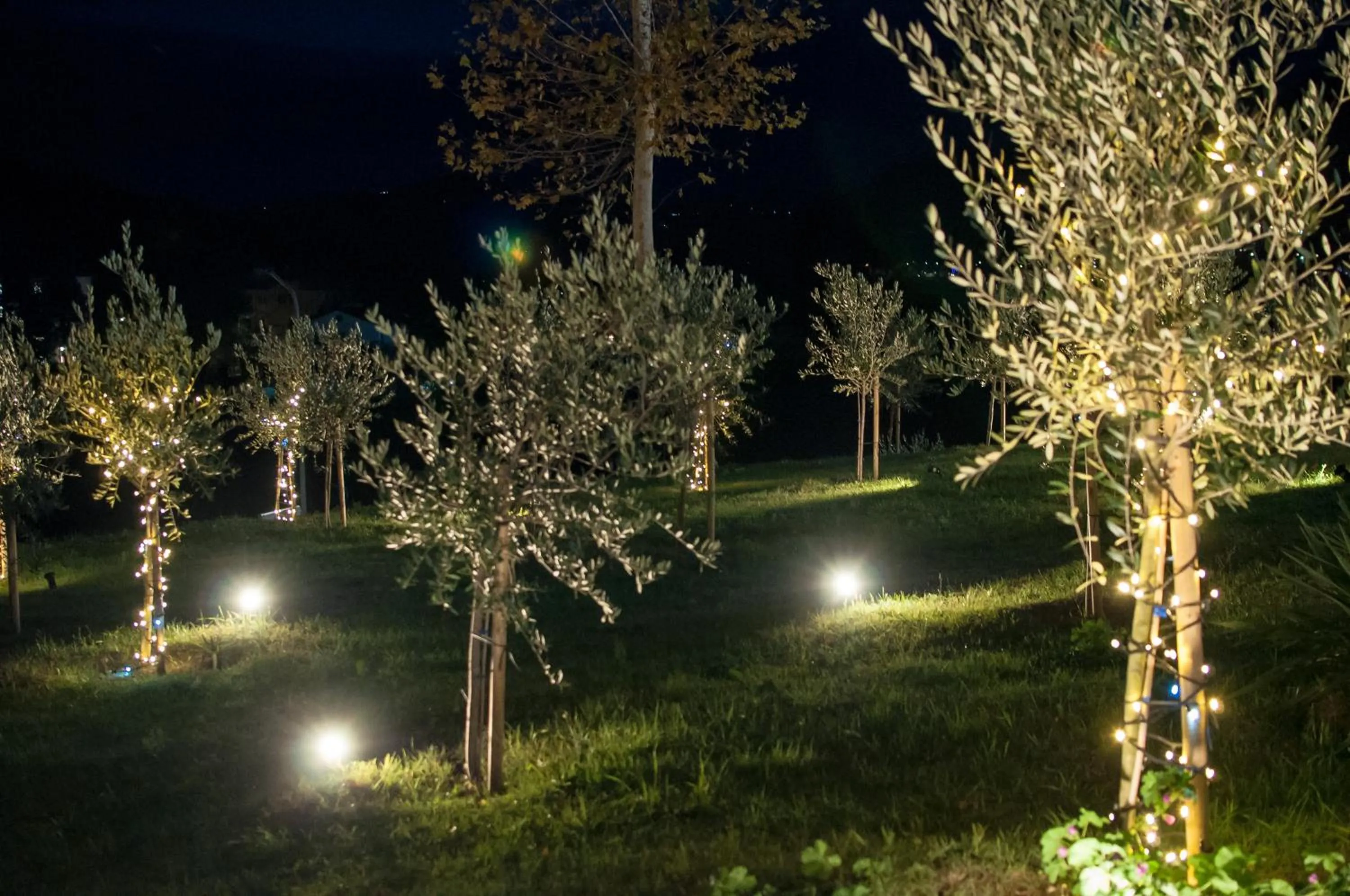 Night in Hotel Ca' di Gali