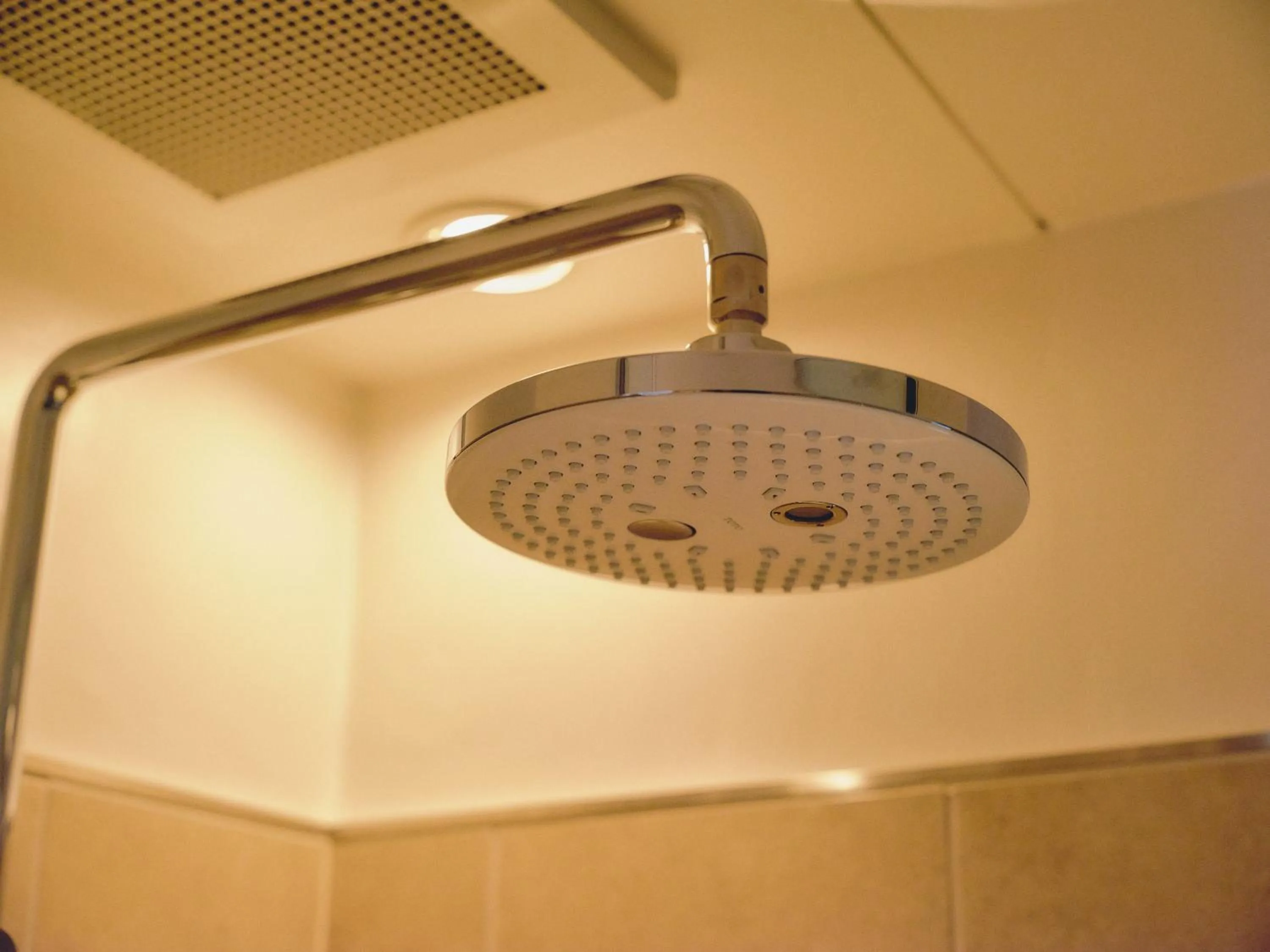 Shower in BIRD HOTEL