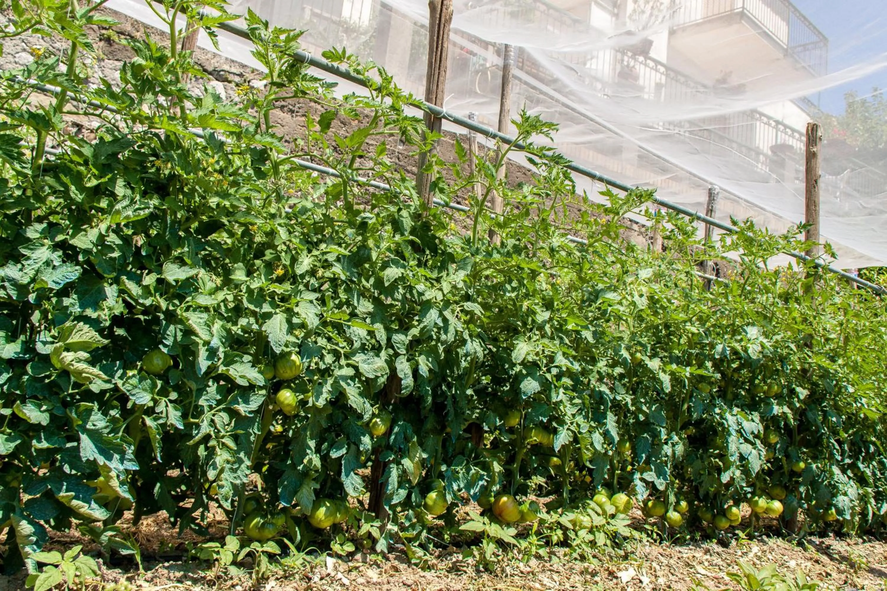Garden in Villarena Relais