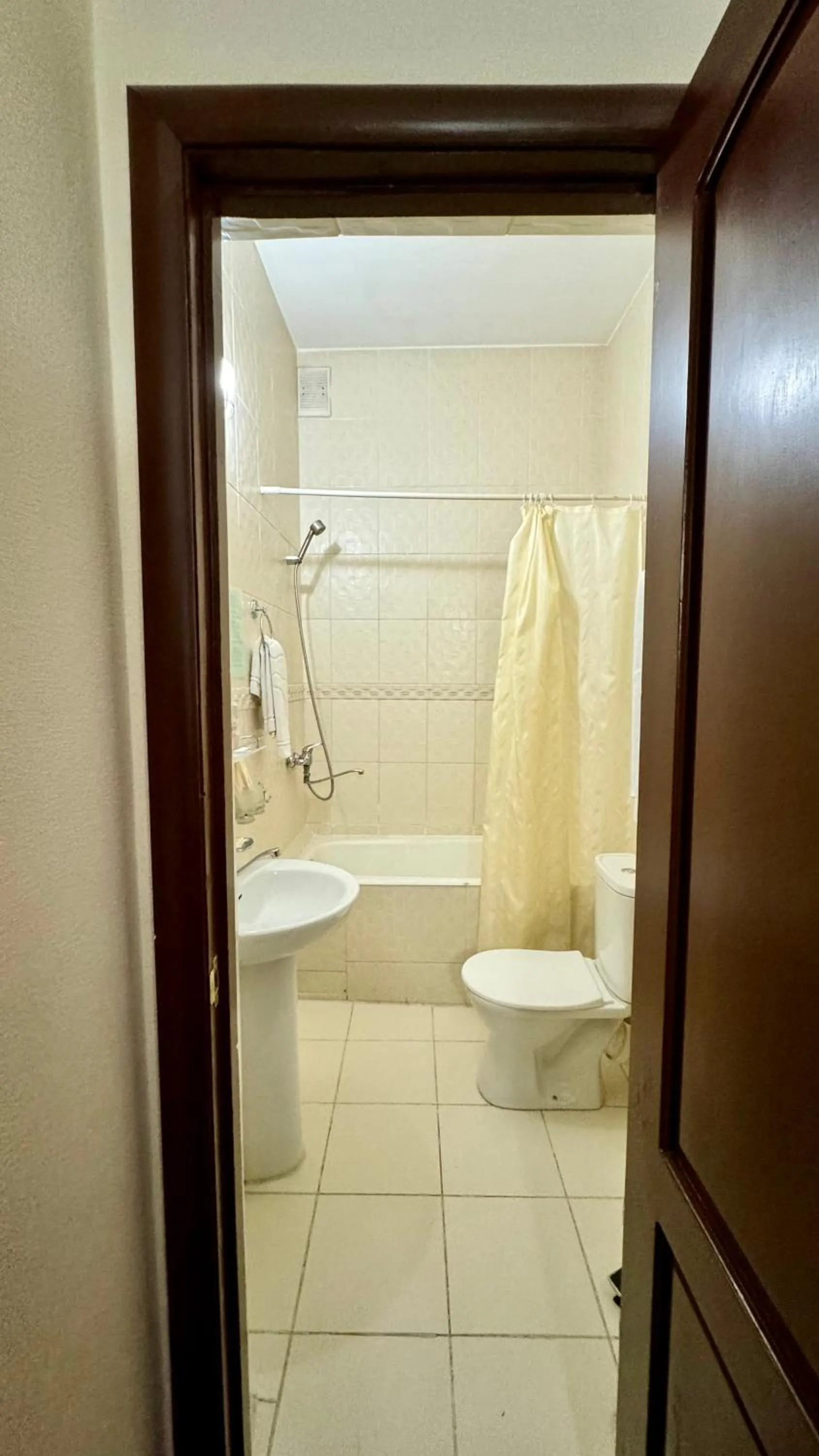Bathroom in Hotel Zhambyl