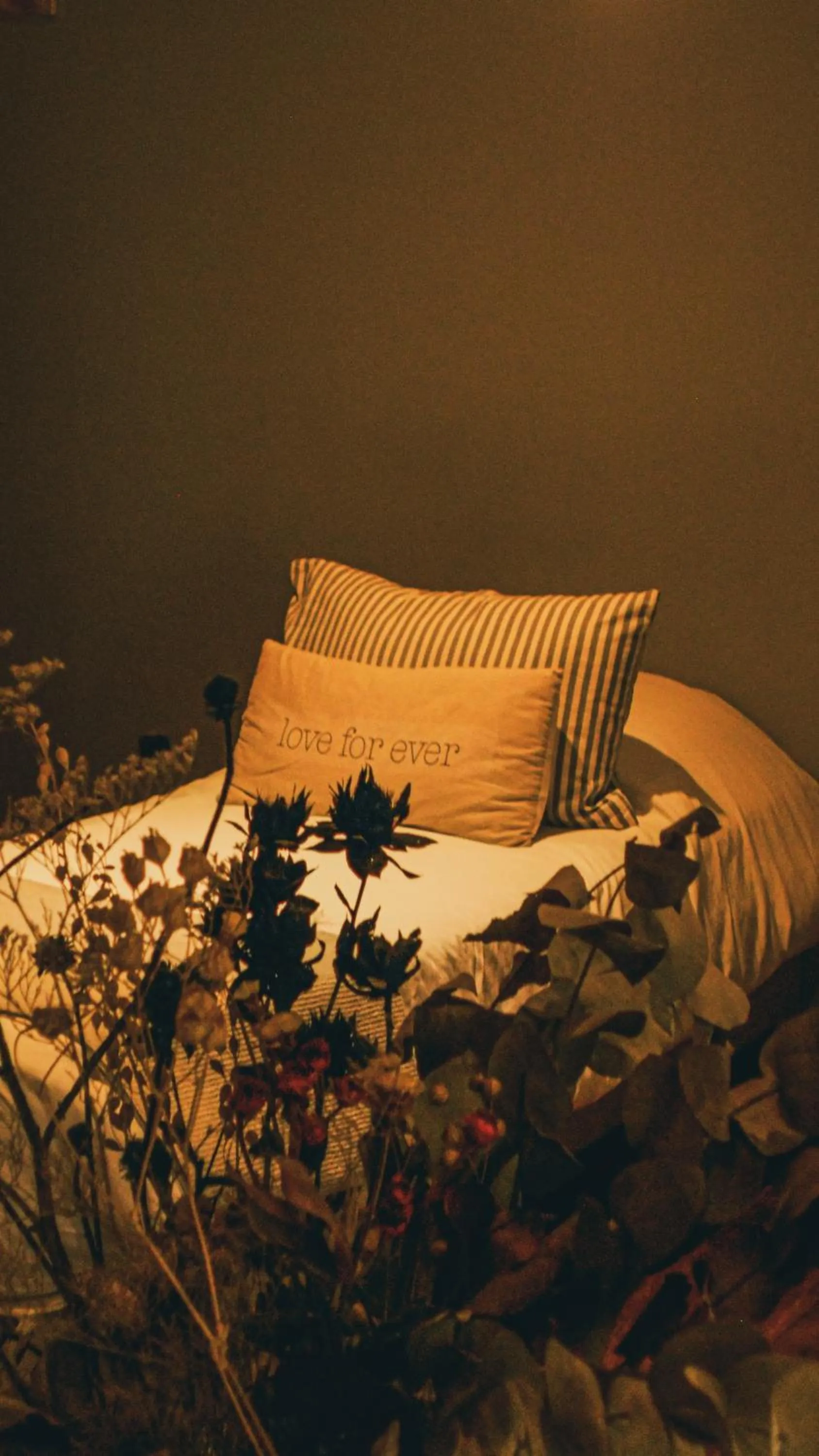 Patio in Casa Reconquista