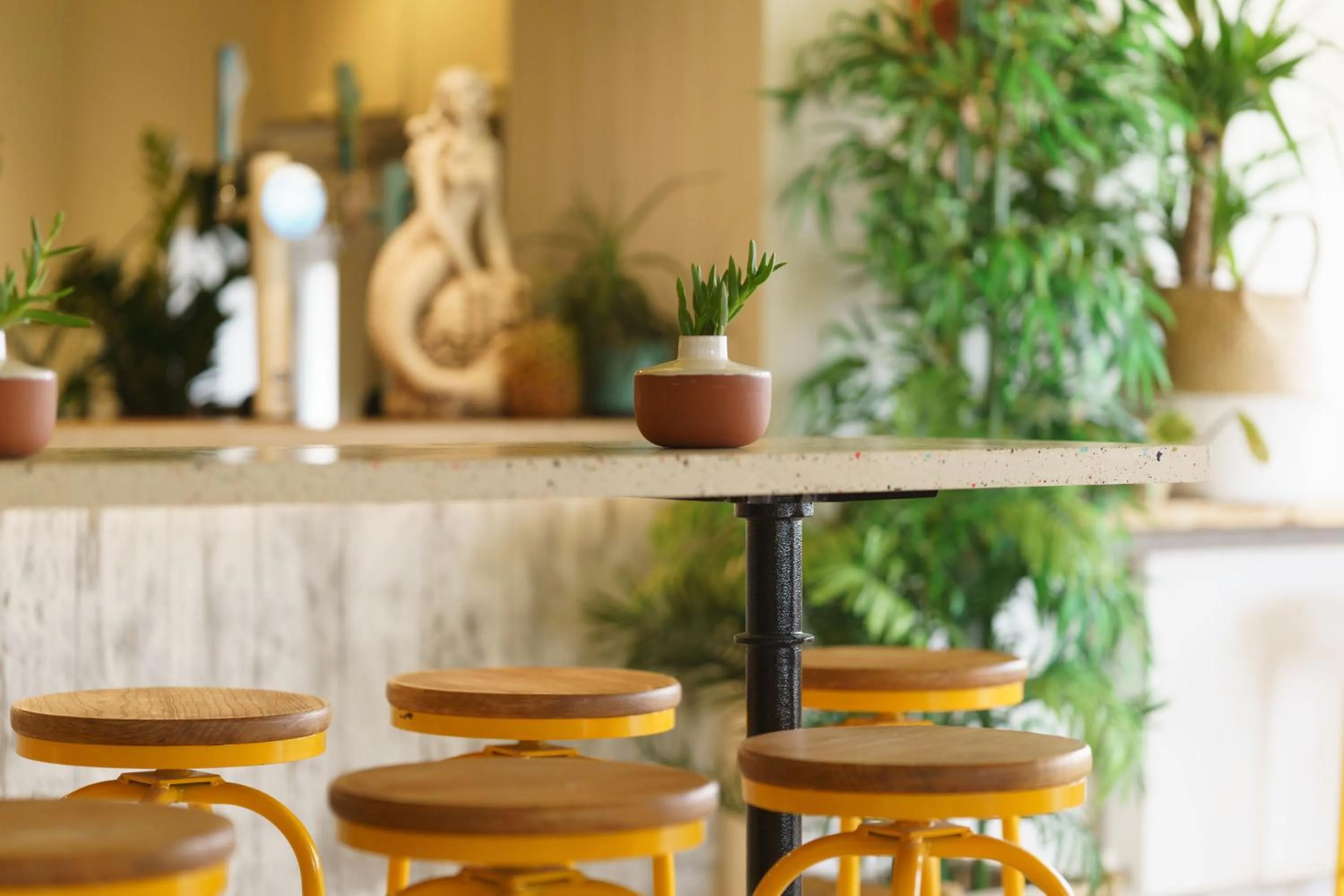 Restaurant/places to eat in The Godolphin Hotel