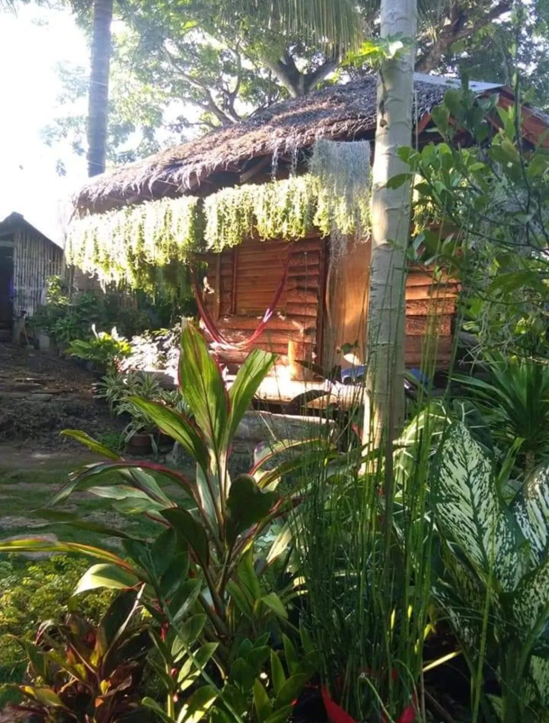 Payag n' Kapitan, Experience pinubre living