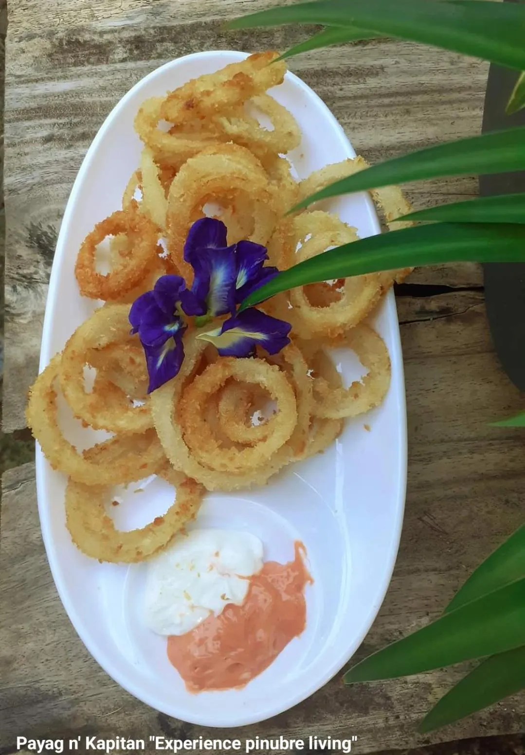 Payag n' Kapitan, Experience pinubre living