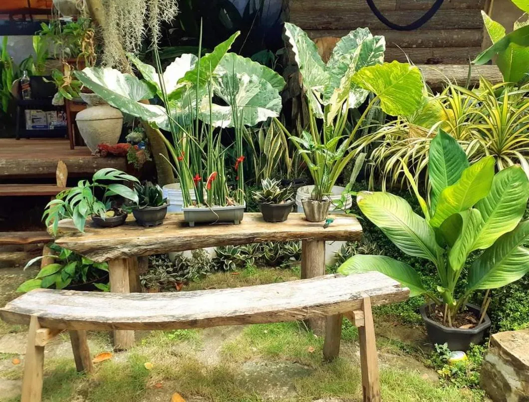 Payag n' Kapitan, Experience pinubre living