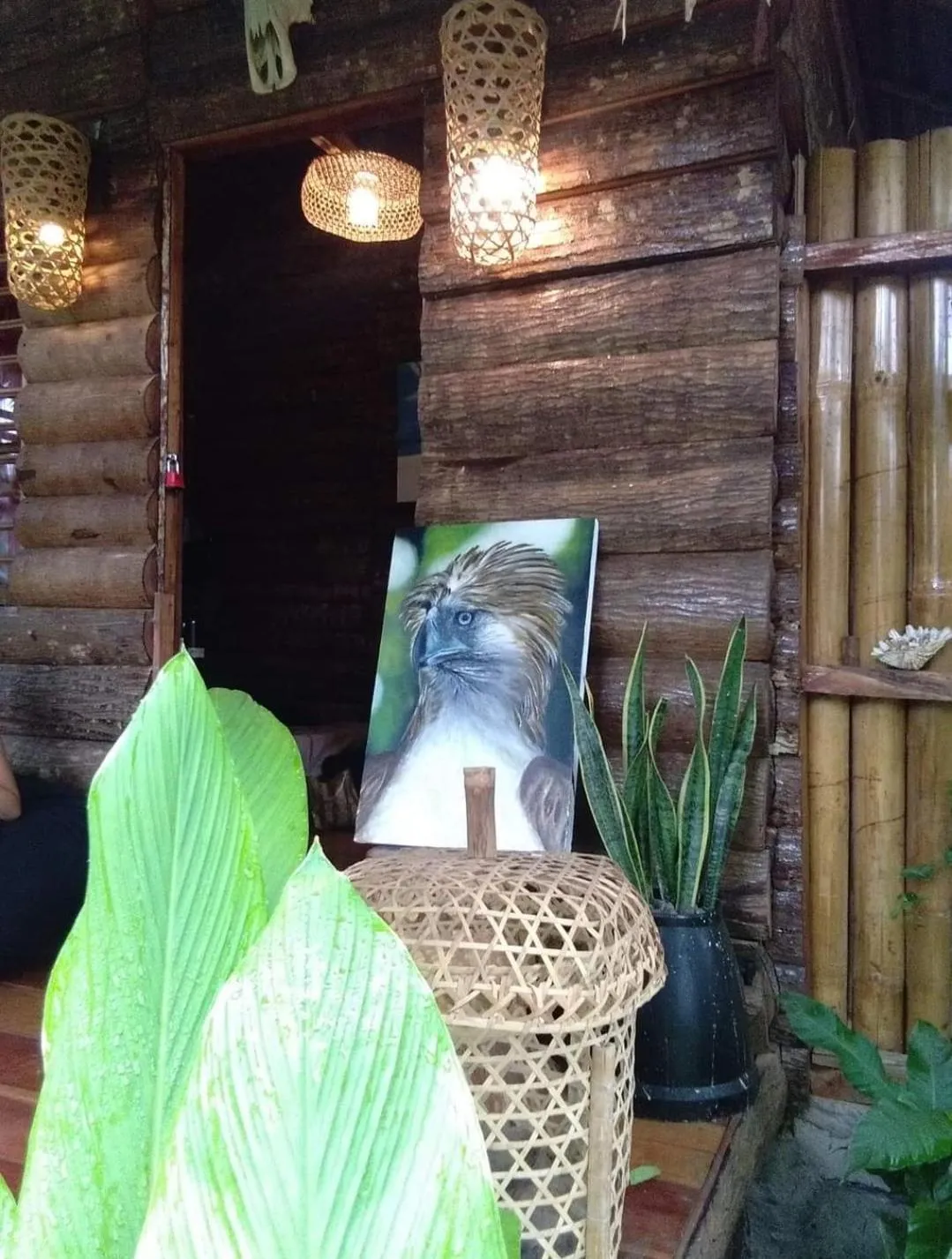 Payag n' Kapitan, Experience pinubre living