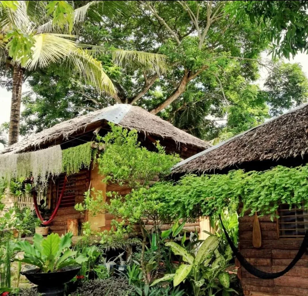 Payag n' Kapitan, Experience pinubre living