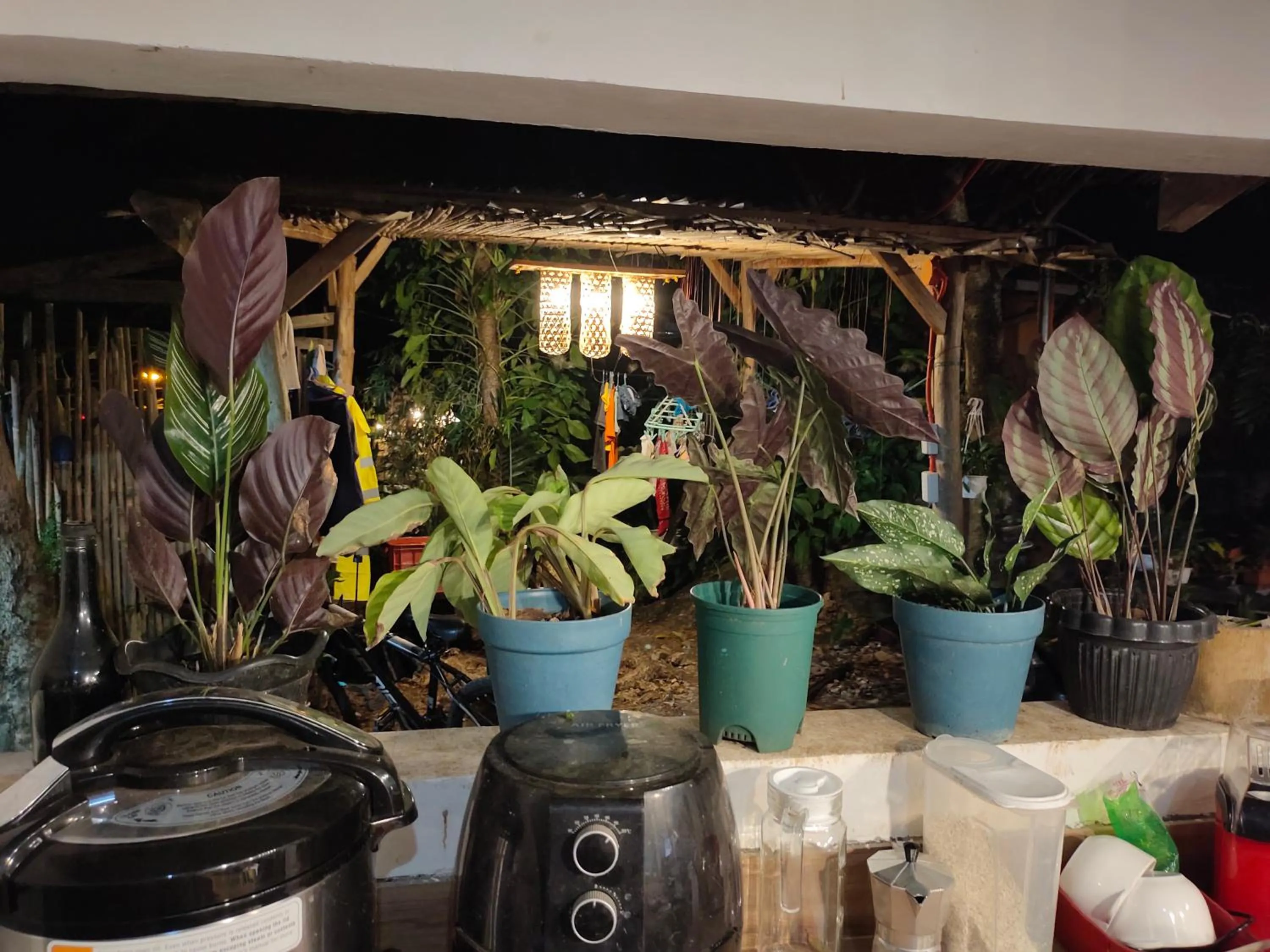 Payag n' Kapitan, Experience pinubre living