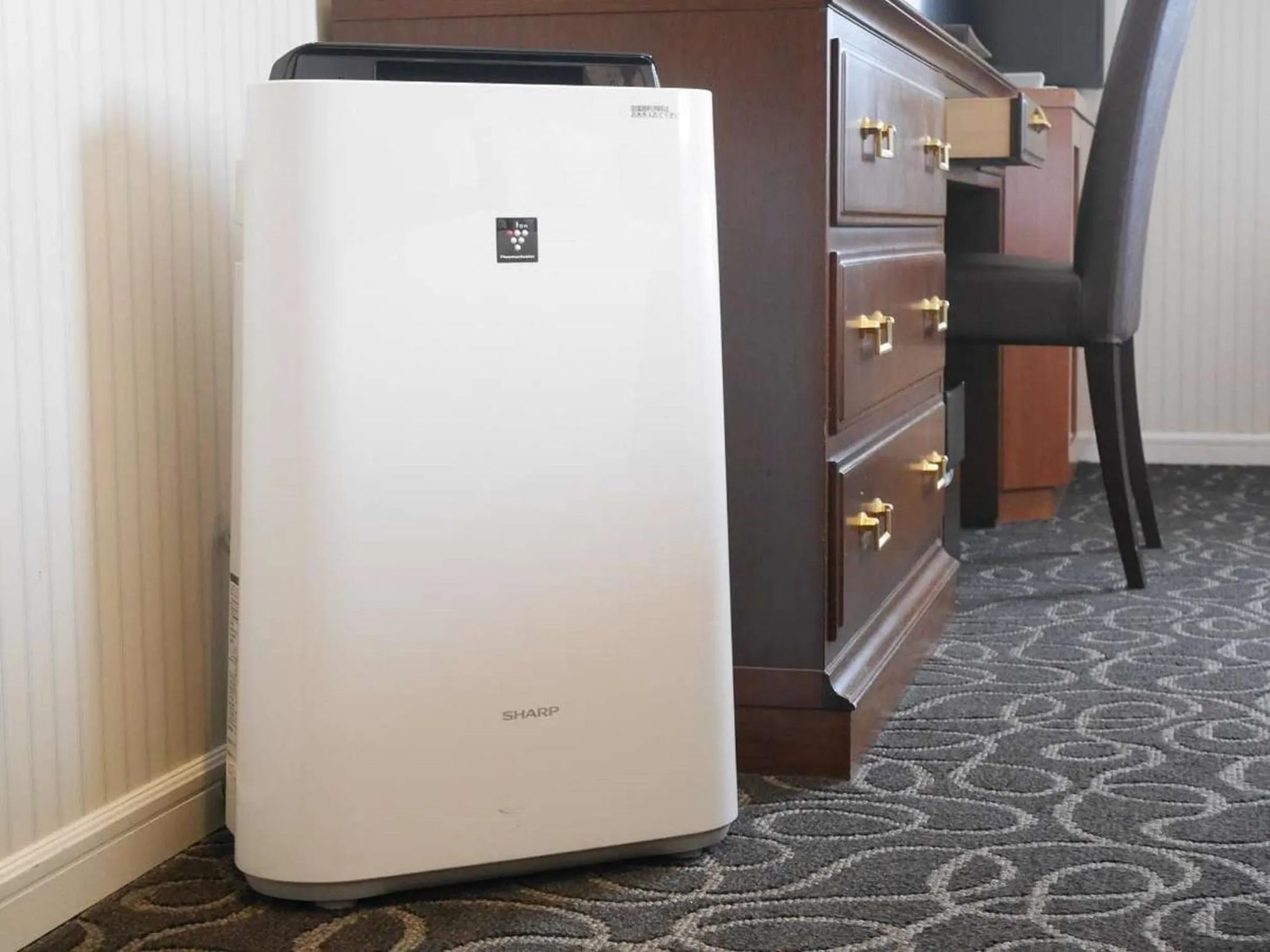 Photo of the whole room in La Jolie Motomachi