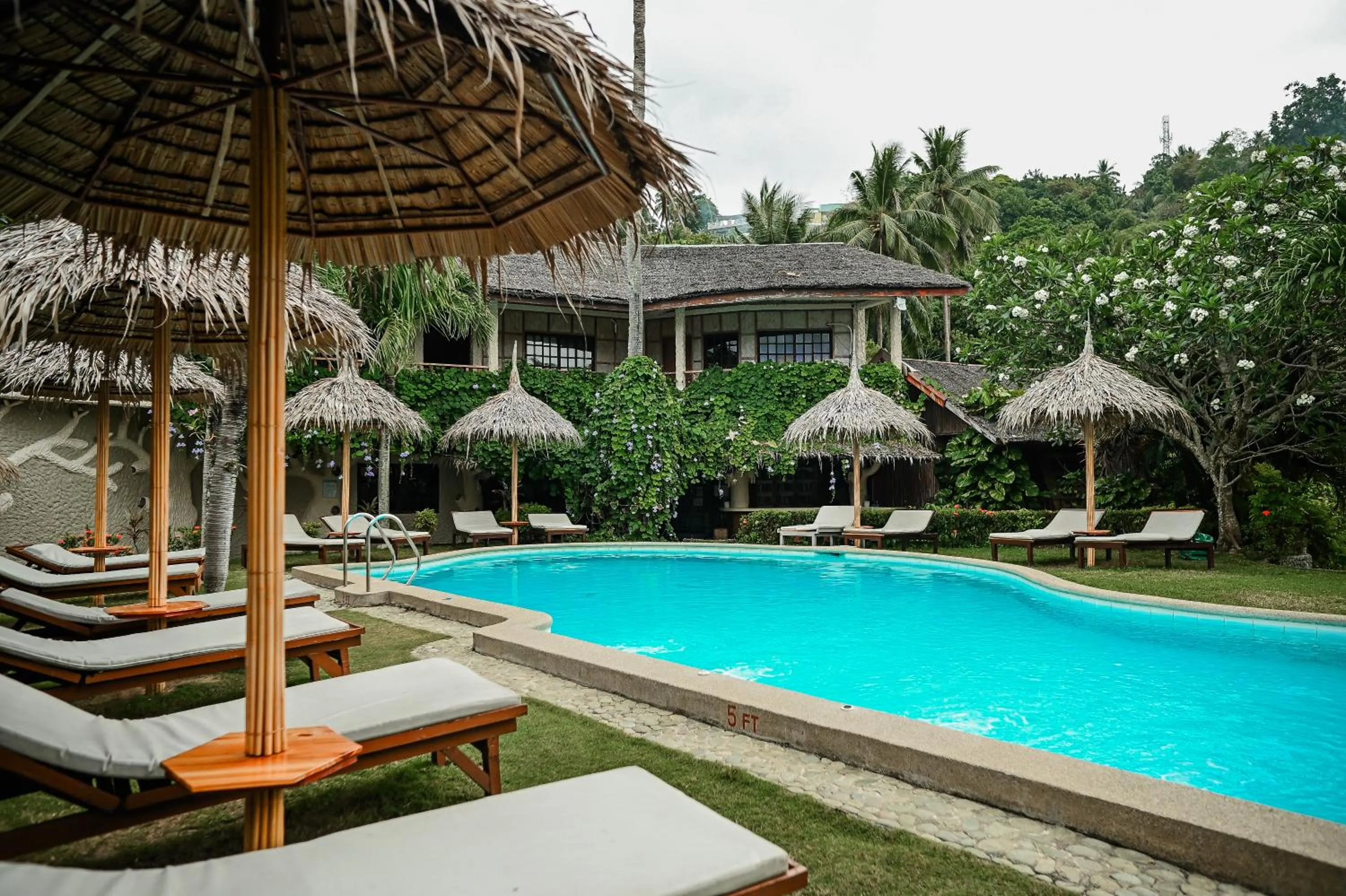 Property building in Garden of Eden Dive Resort