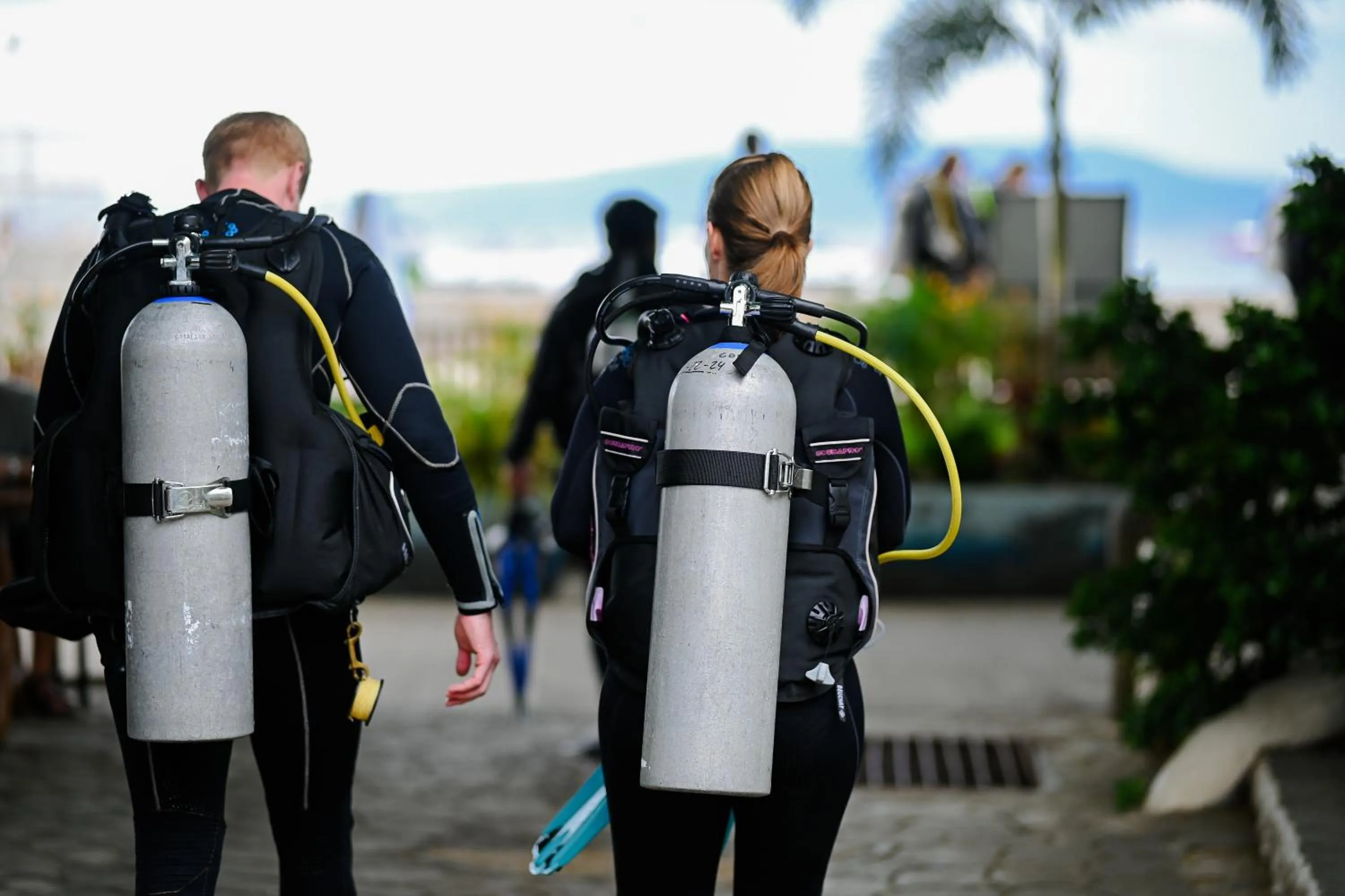 Day in Garden of Eden Dive Resort