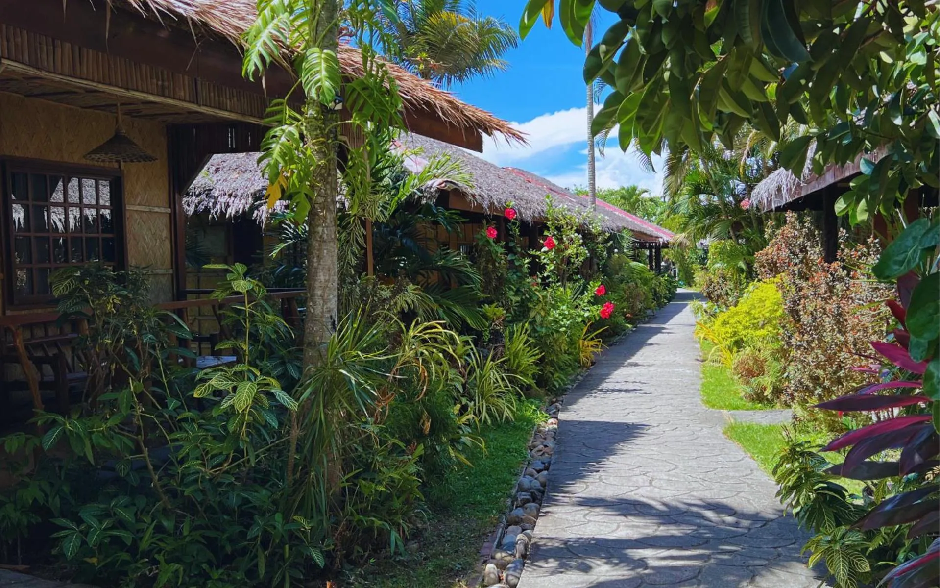 Garden view in Garden of Eden Dive Resort