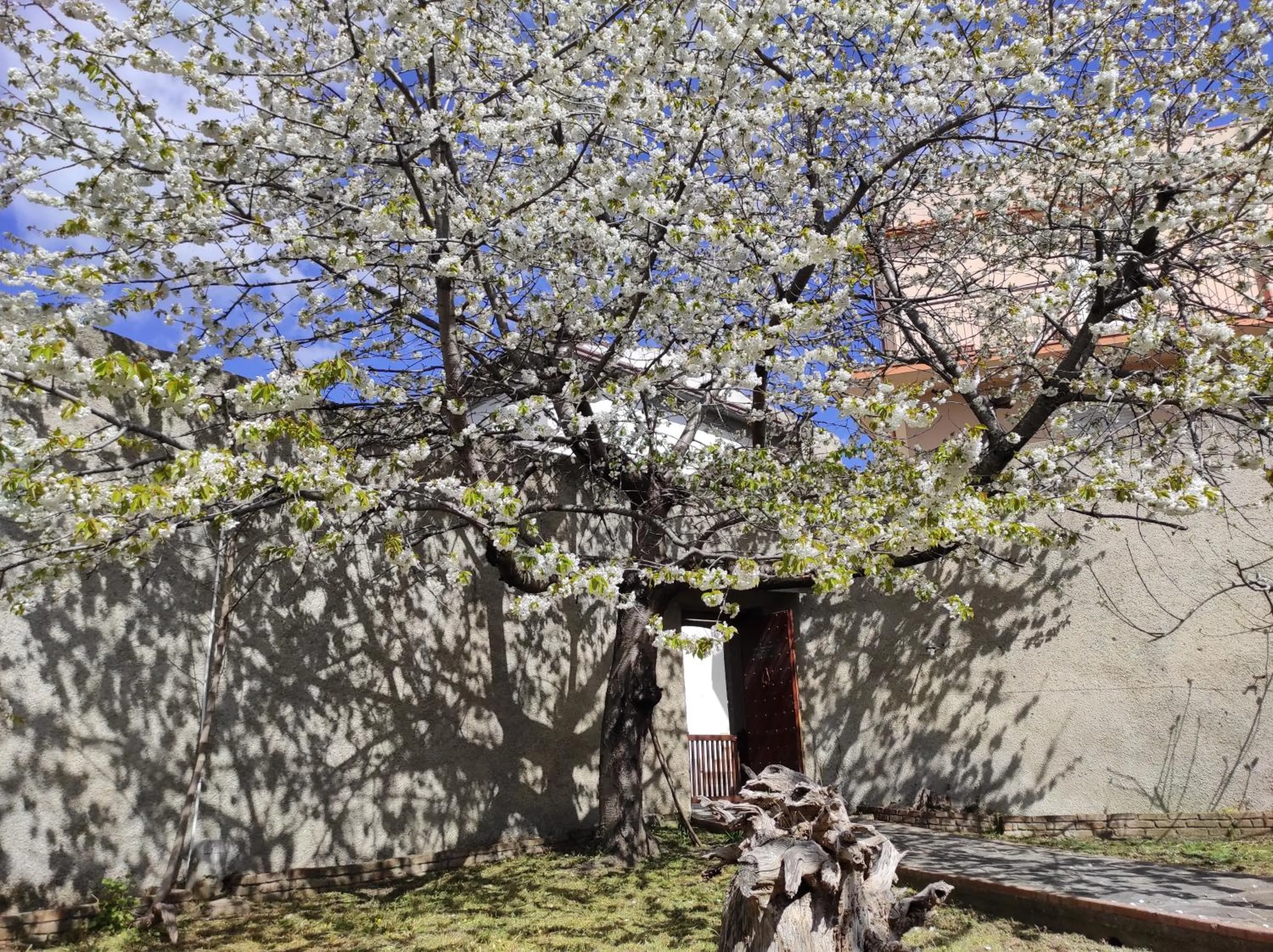 Garden in Antica Dimora Palazzo Rovitti