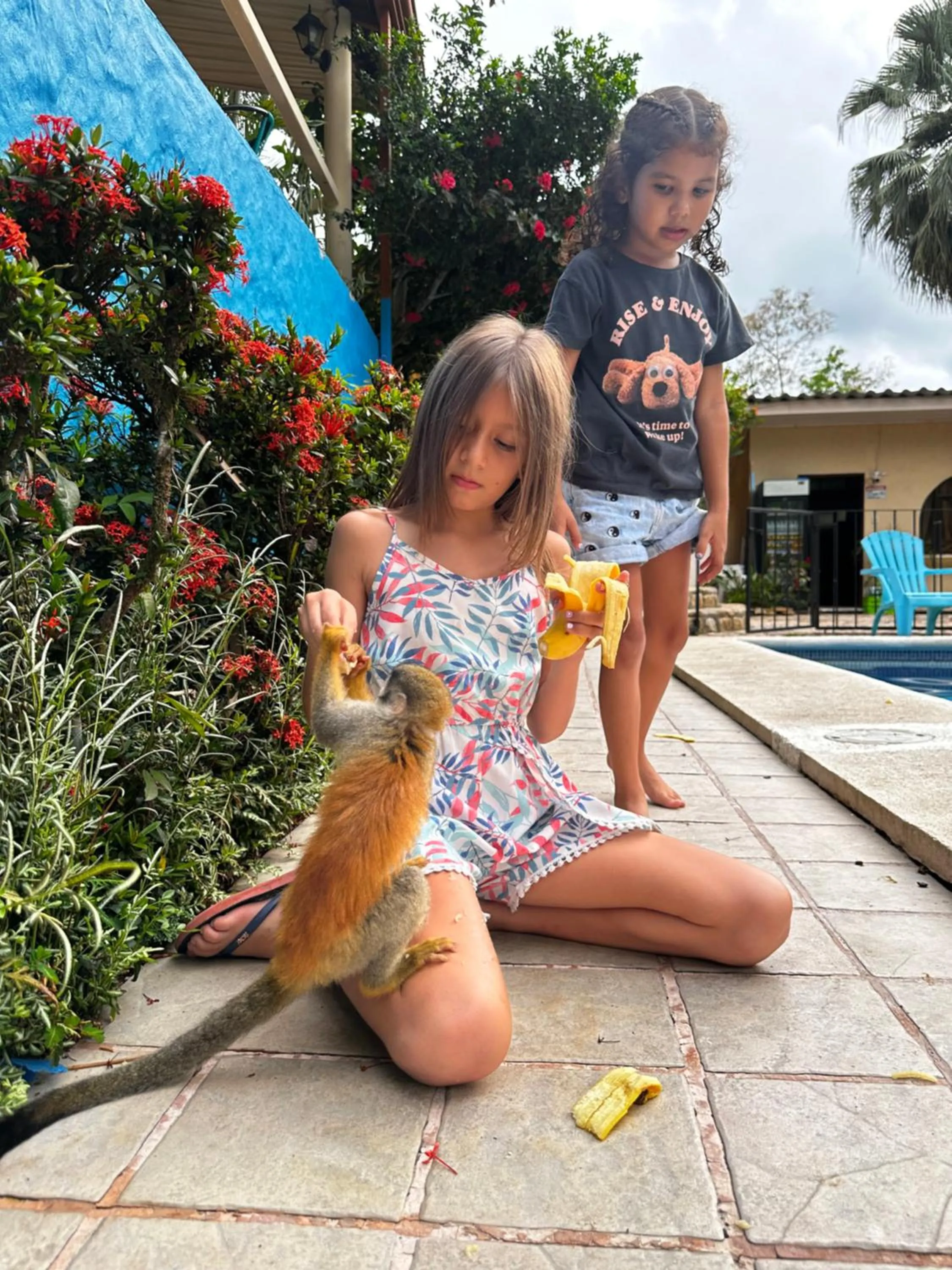 Day in Hospedaje Colibri