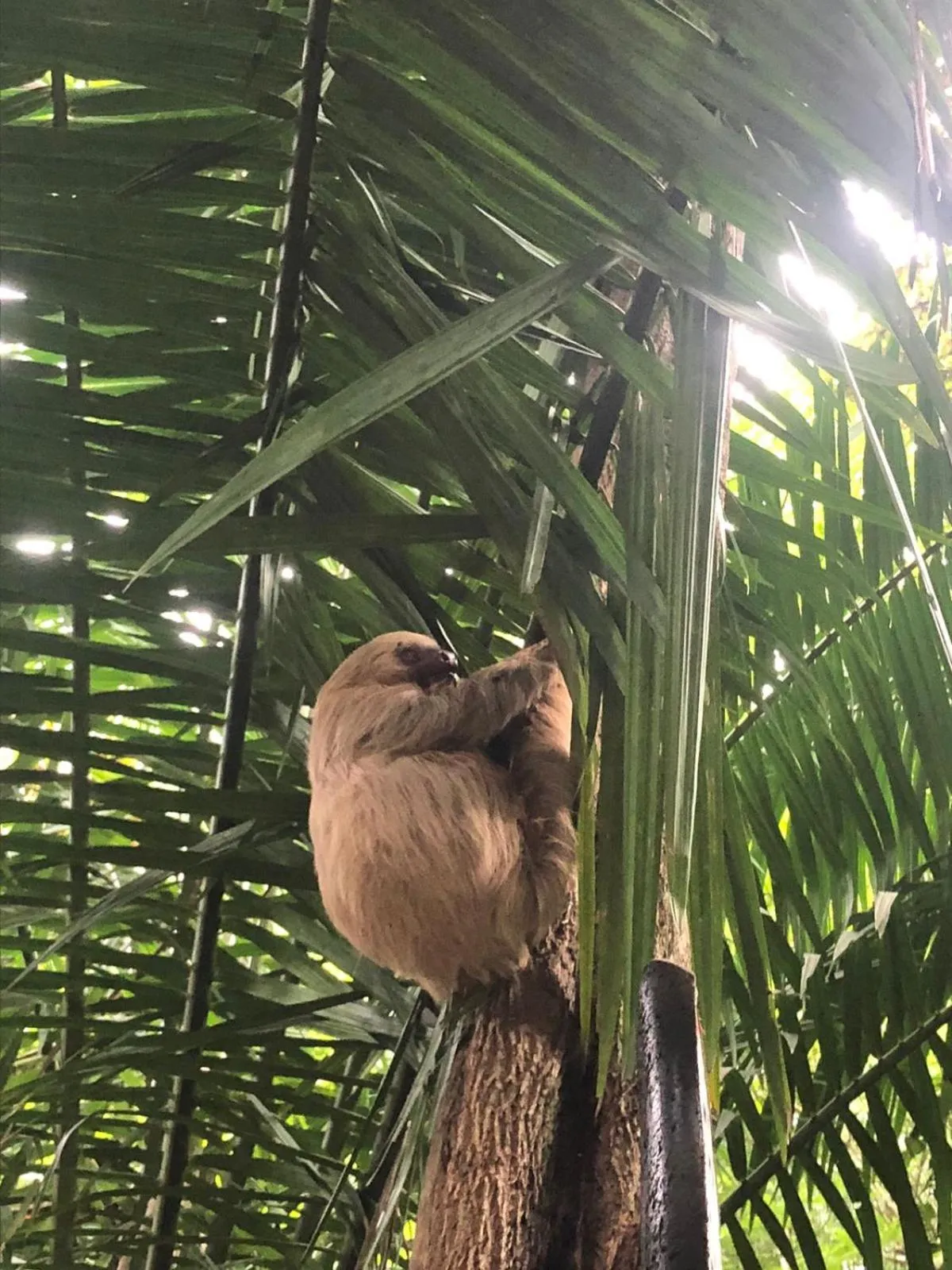 Natural landscape in Hospedaje Colibri