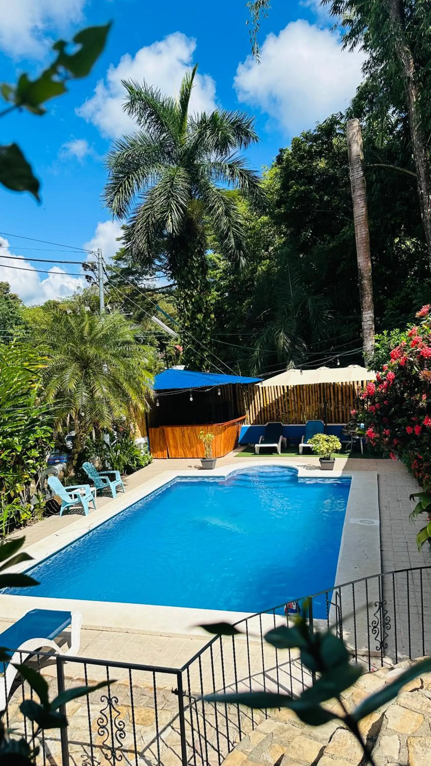 Swimming pool in Hospedaje Colibri
