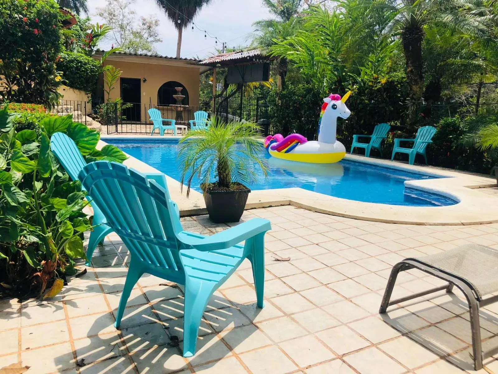 Garden view in Hospedaje Colibri