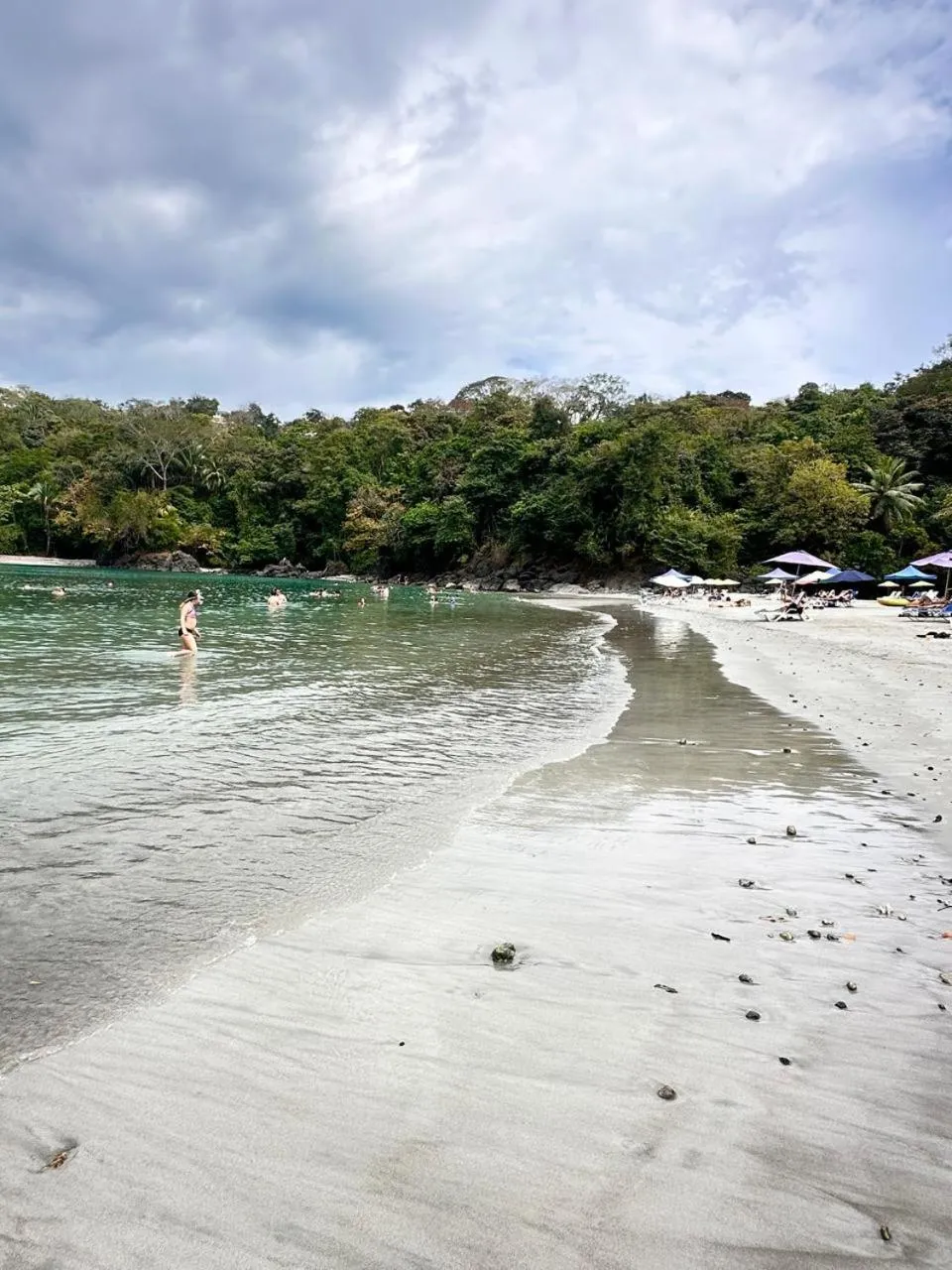 Natural landscape in Hospedaje Colibri