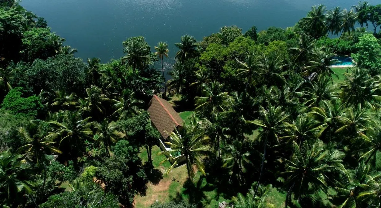 Bird's eye view in Serendipity Lake - Hikkaduwa