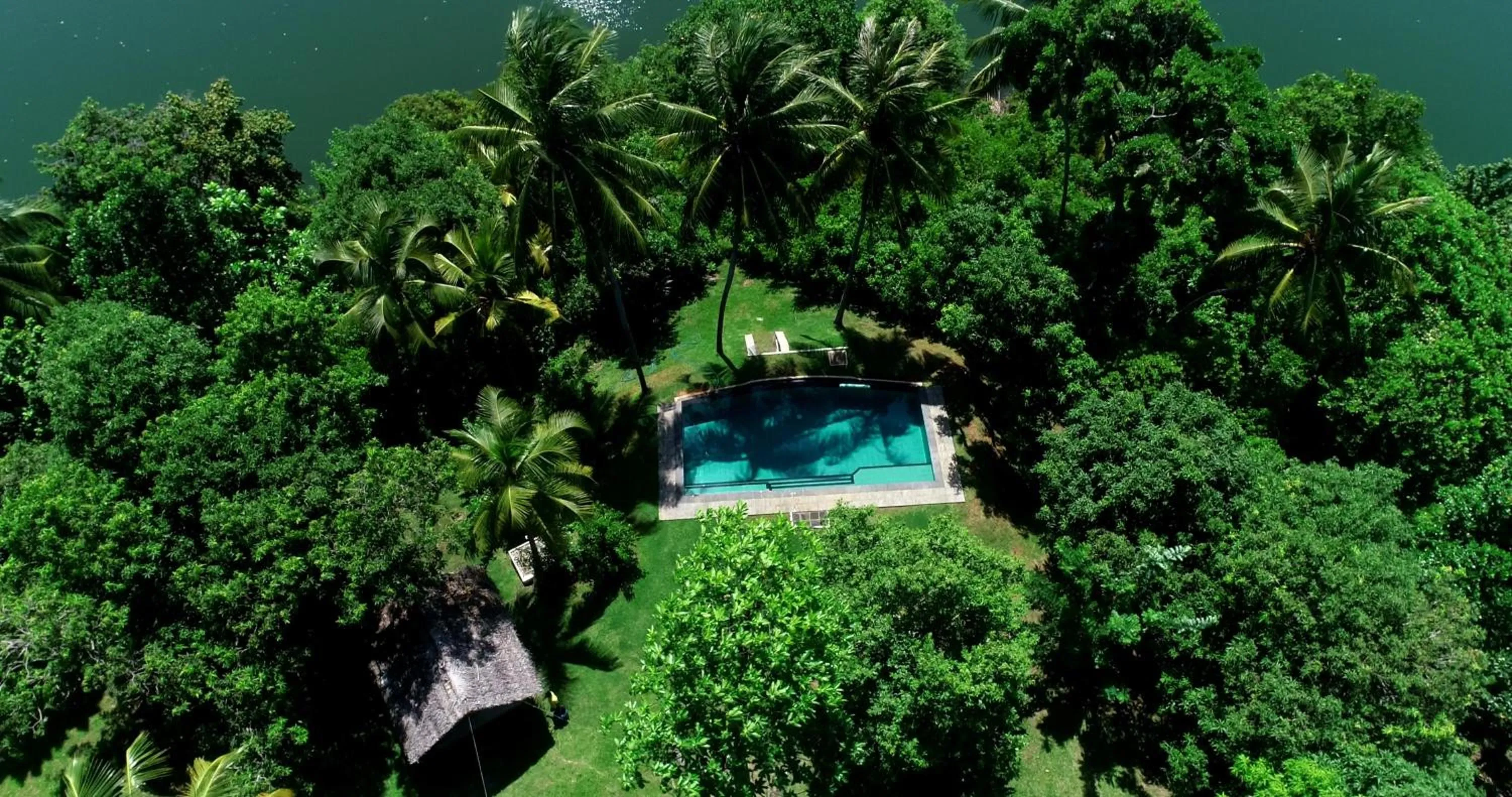 Spring in Serendipity Lake - Hikkaduwa