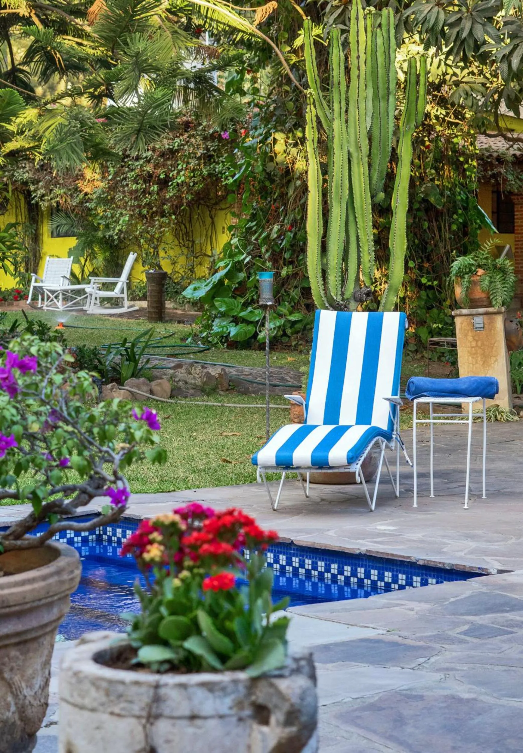 Garden in Garden of Dreams Boutique Hotel