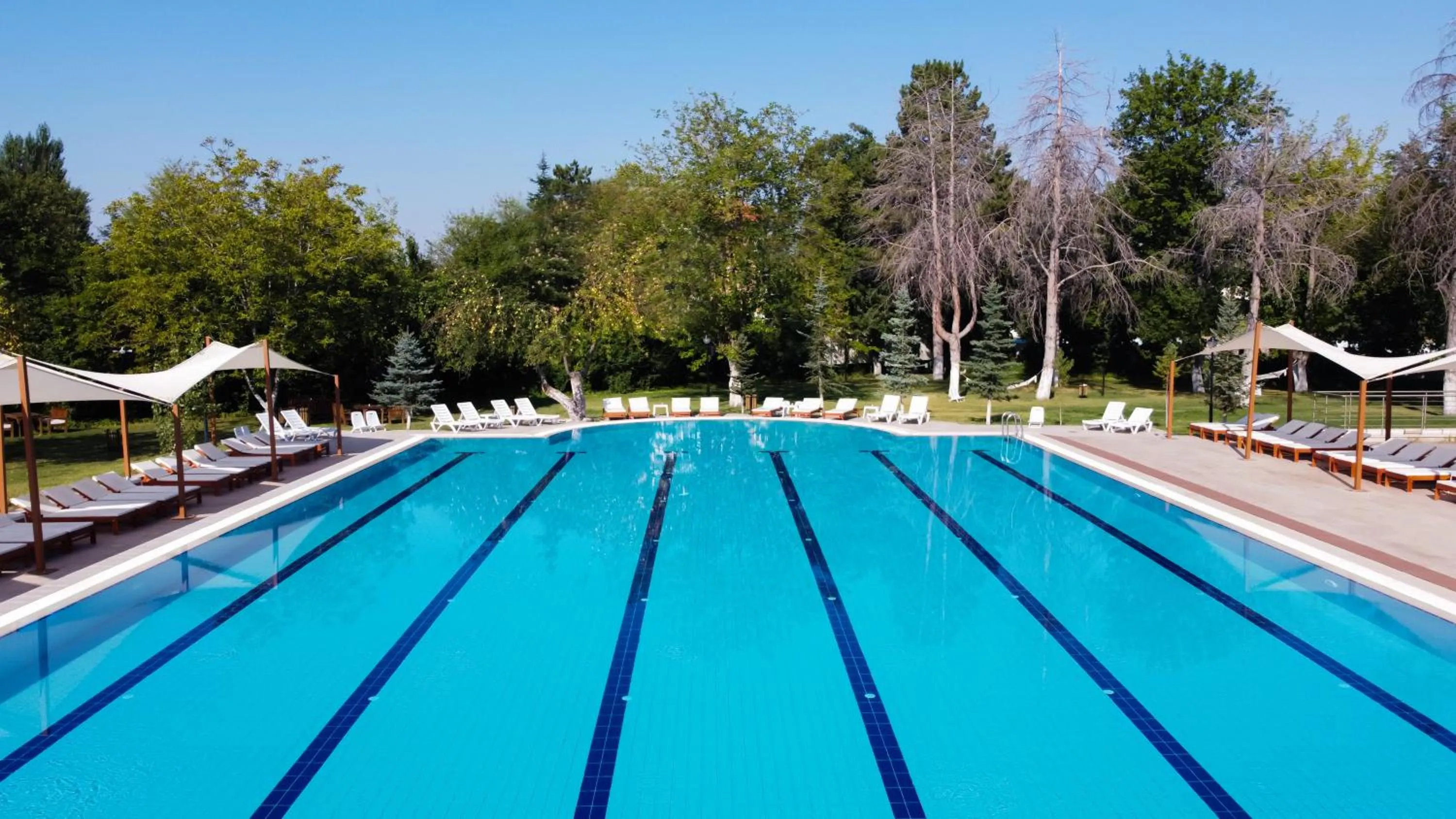 Swimming pool in CONNECT THERMAL HOTEL
