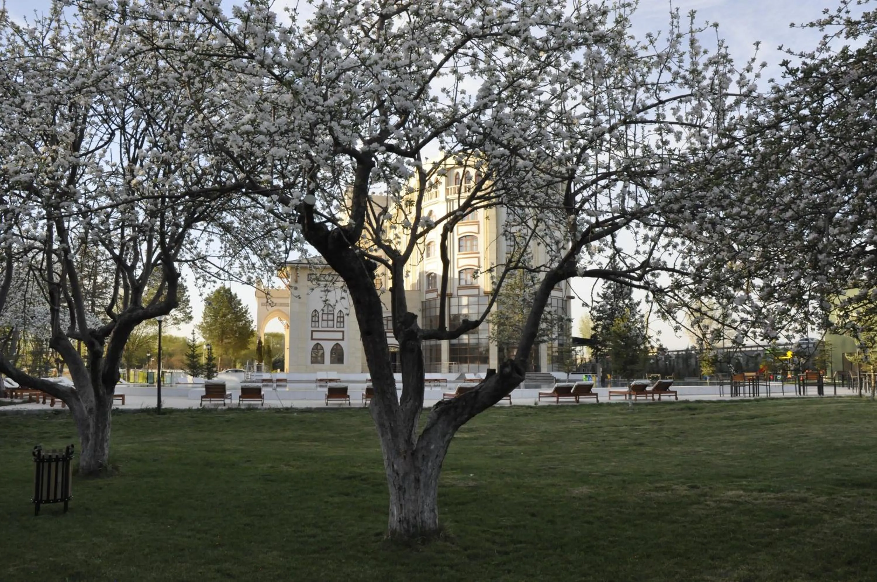 Garden in CONNECT THERMAL HOTEL