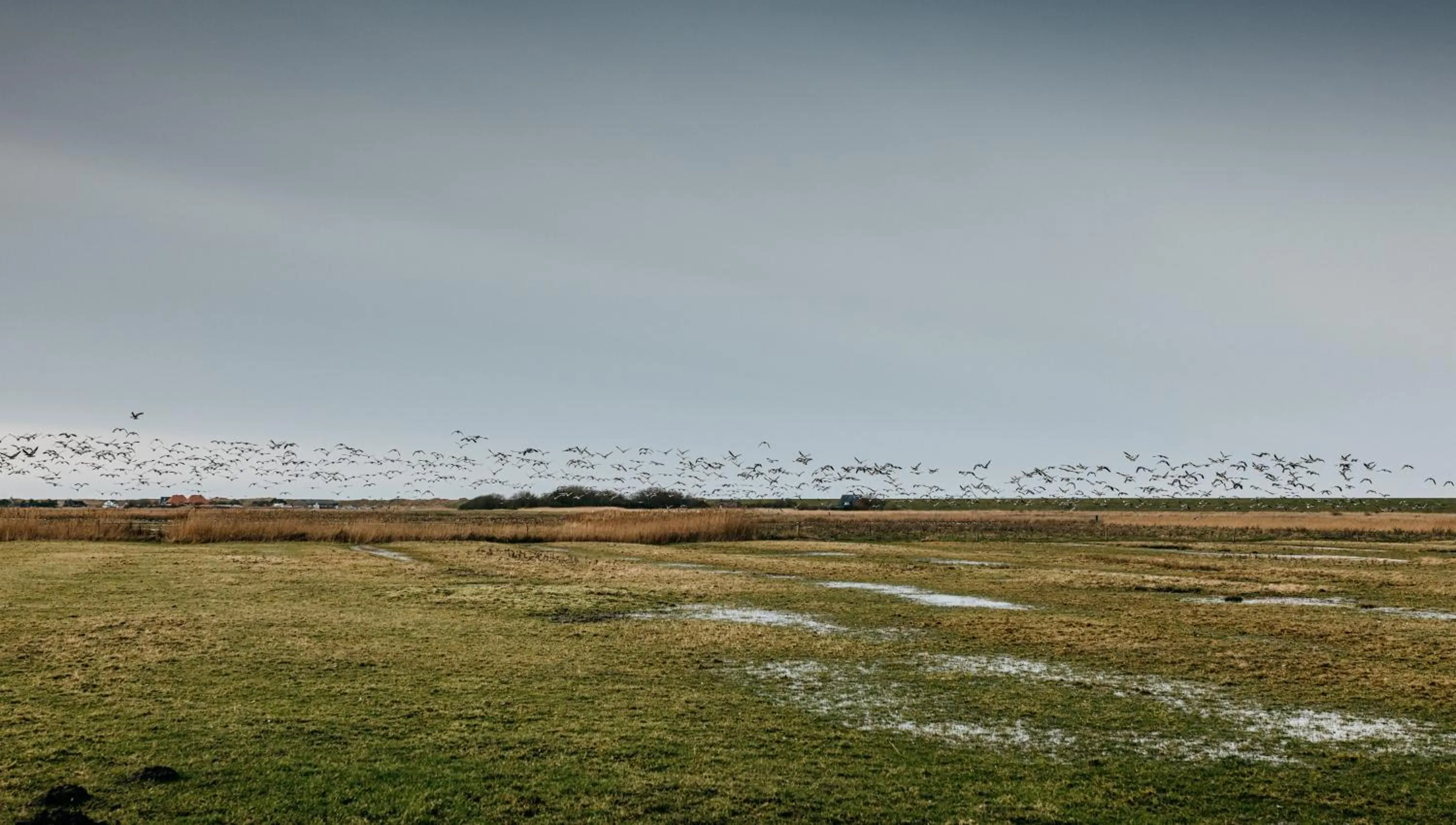 Natural landscape in Seaside 43