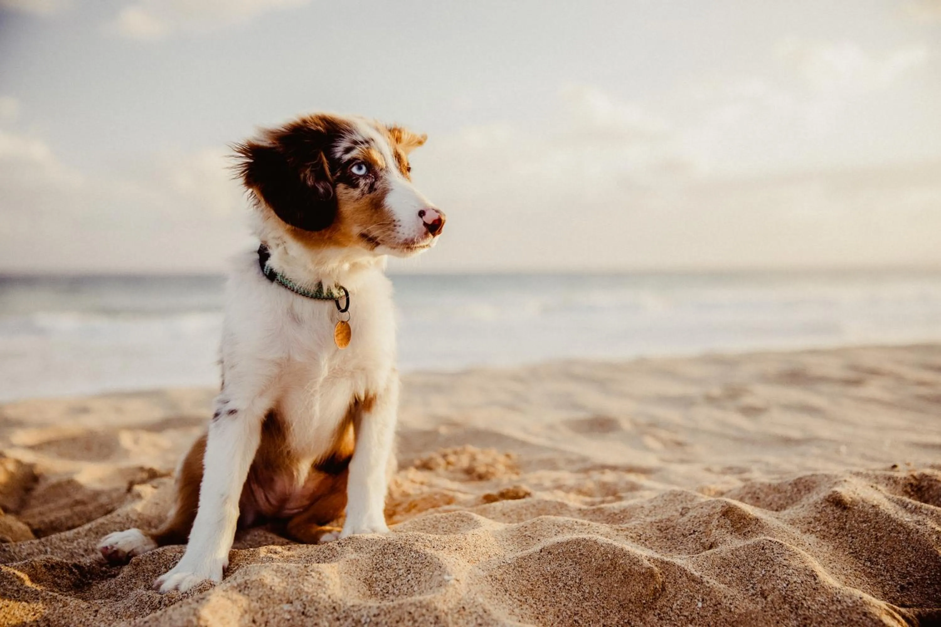 Natural landscape in Seaside 43