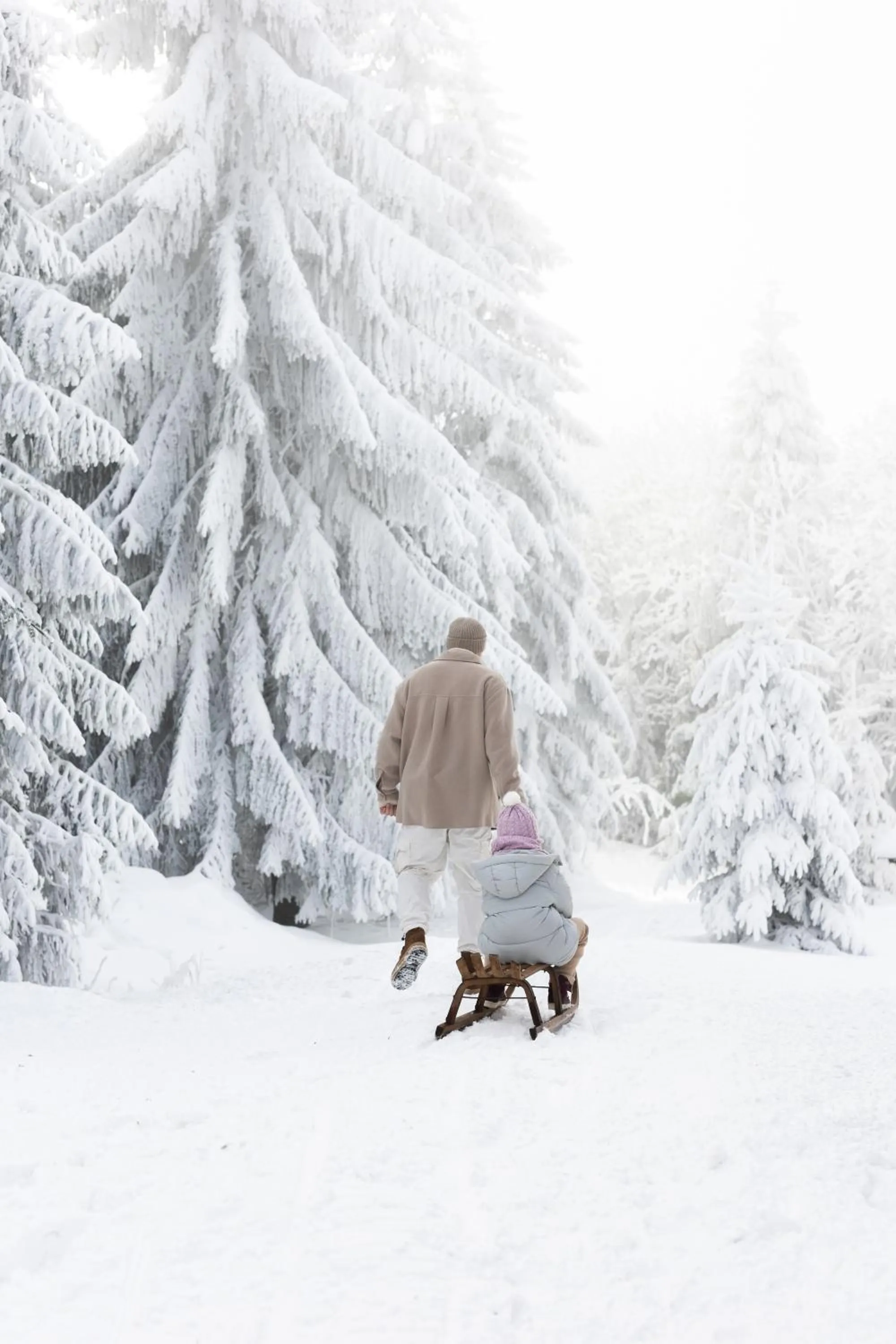 Day in Hotel Bergo Resort & SPA